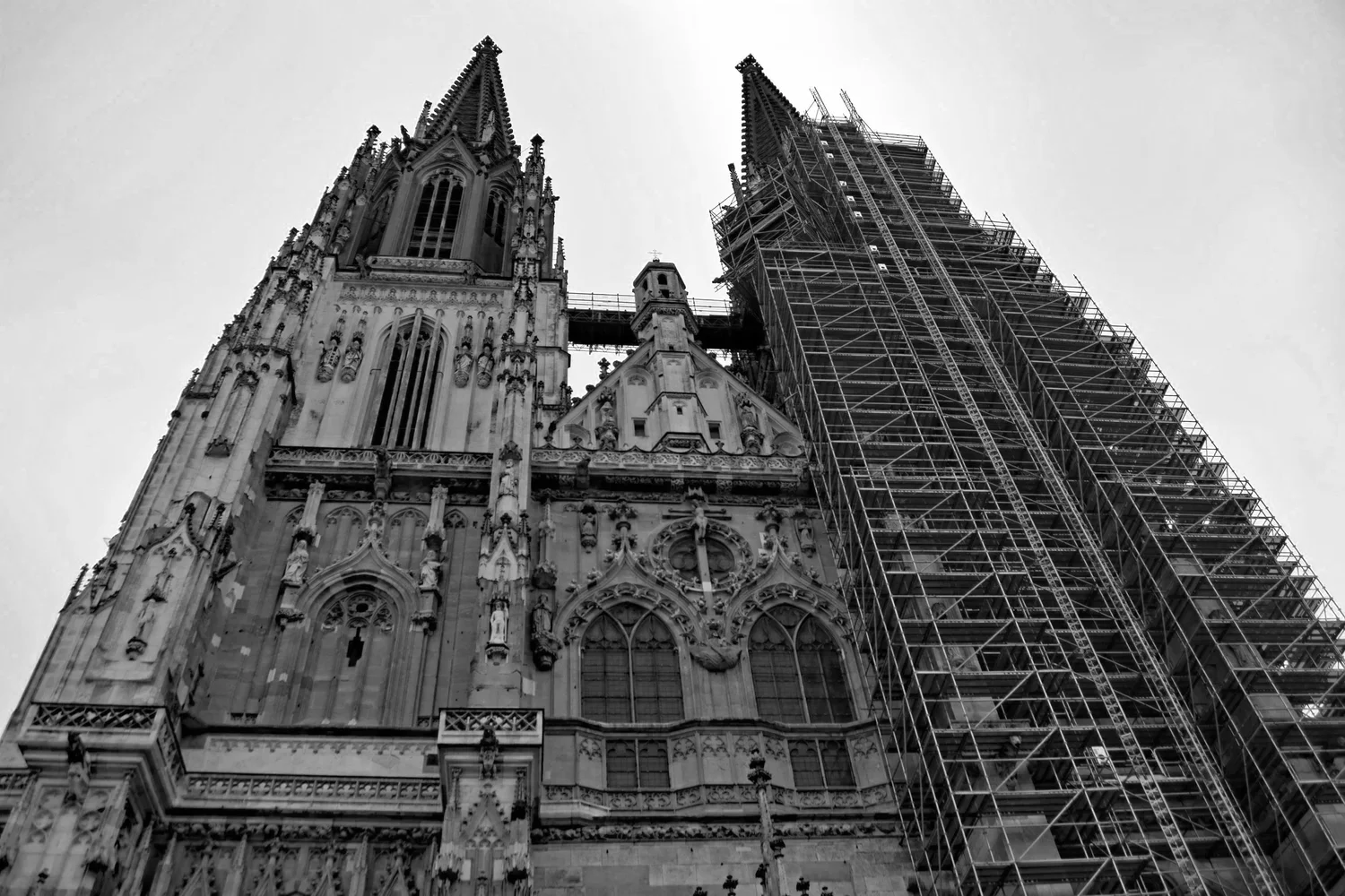 pexels-pawel-hordjewicz-656227941-35996331.png