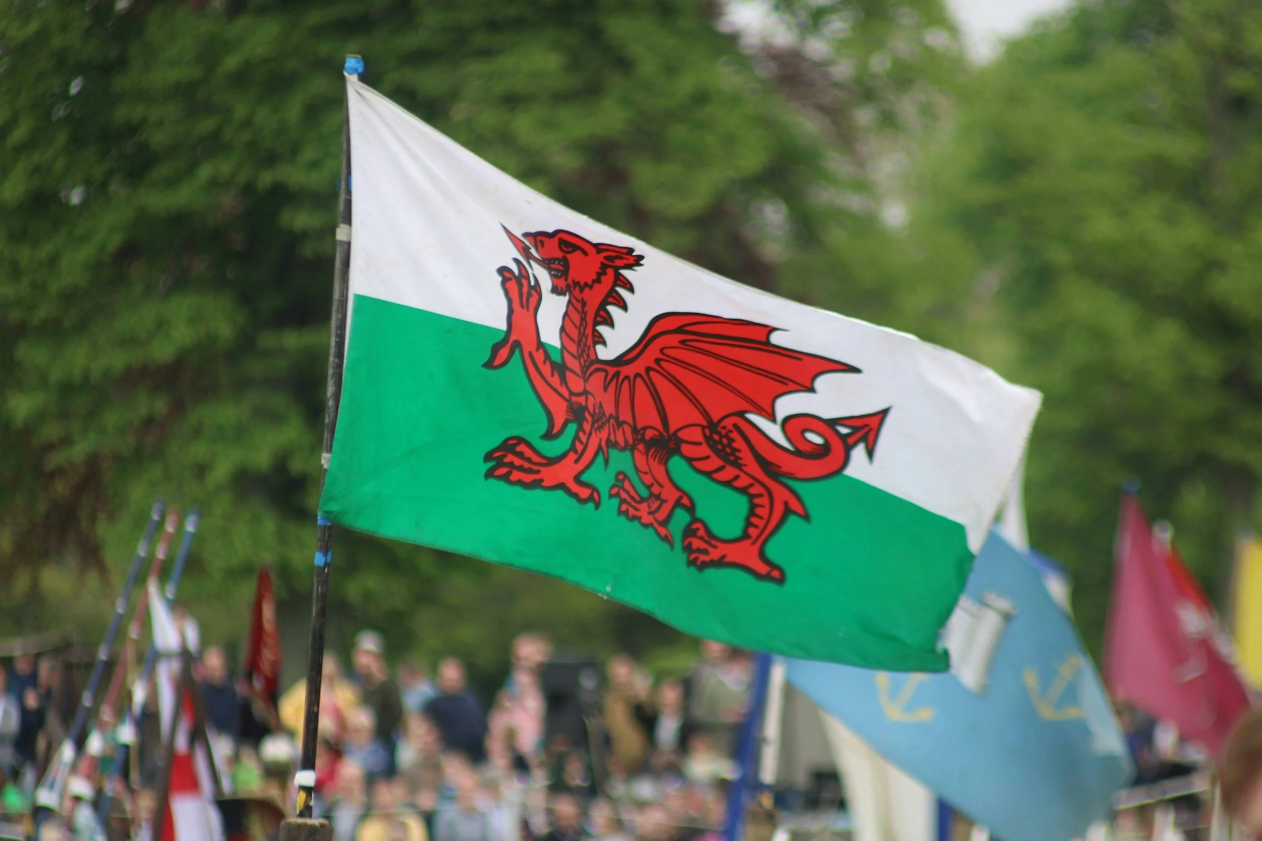 A flag featuring a red dragon on a green and white background, part of a display of various colorful flags in an outdoor setting with trees and people in the background.