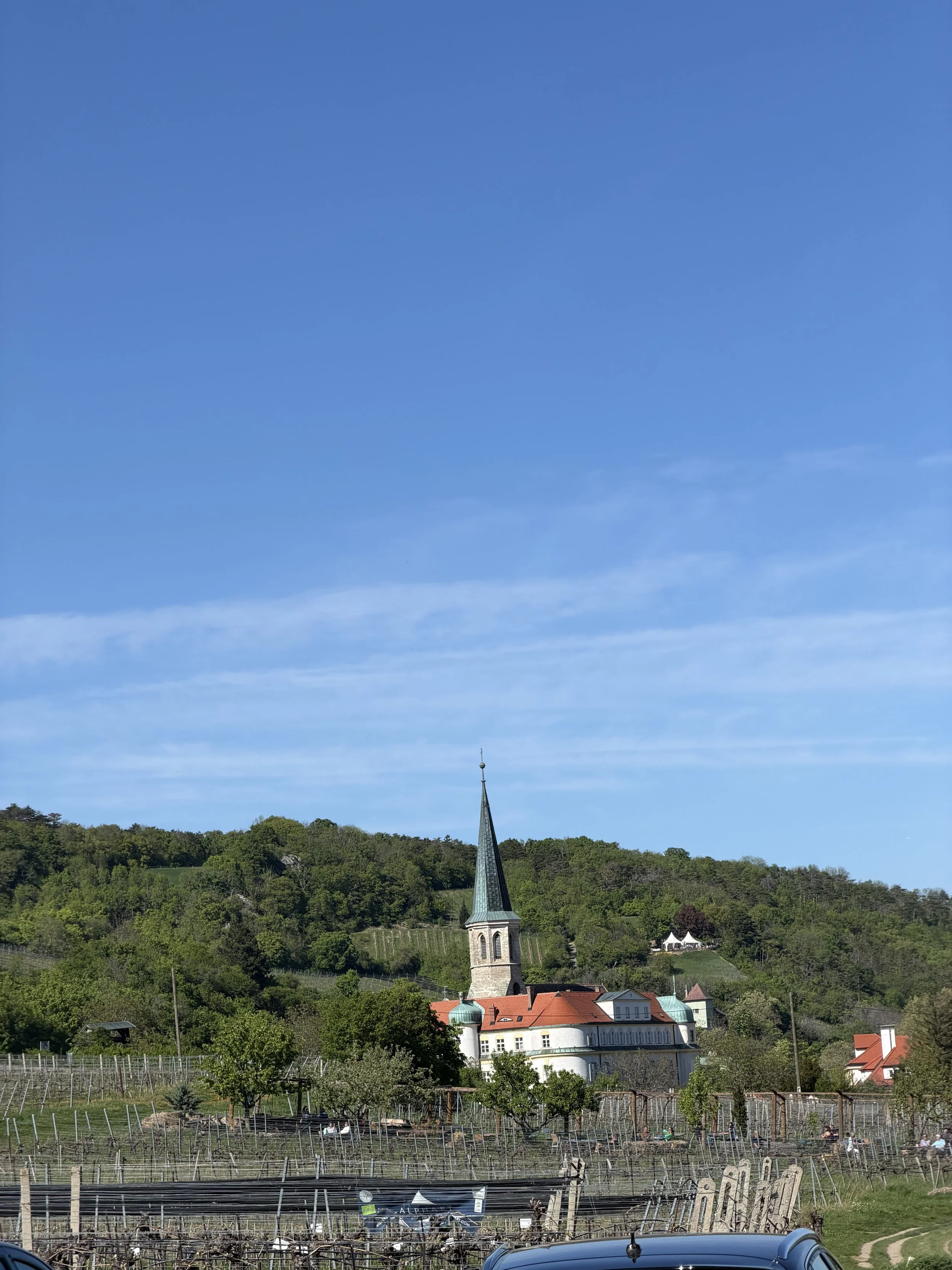 IMG_0388.jpeg
