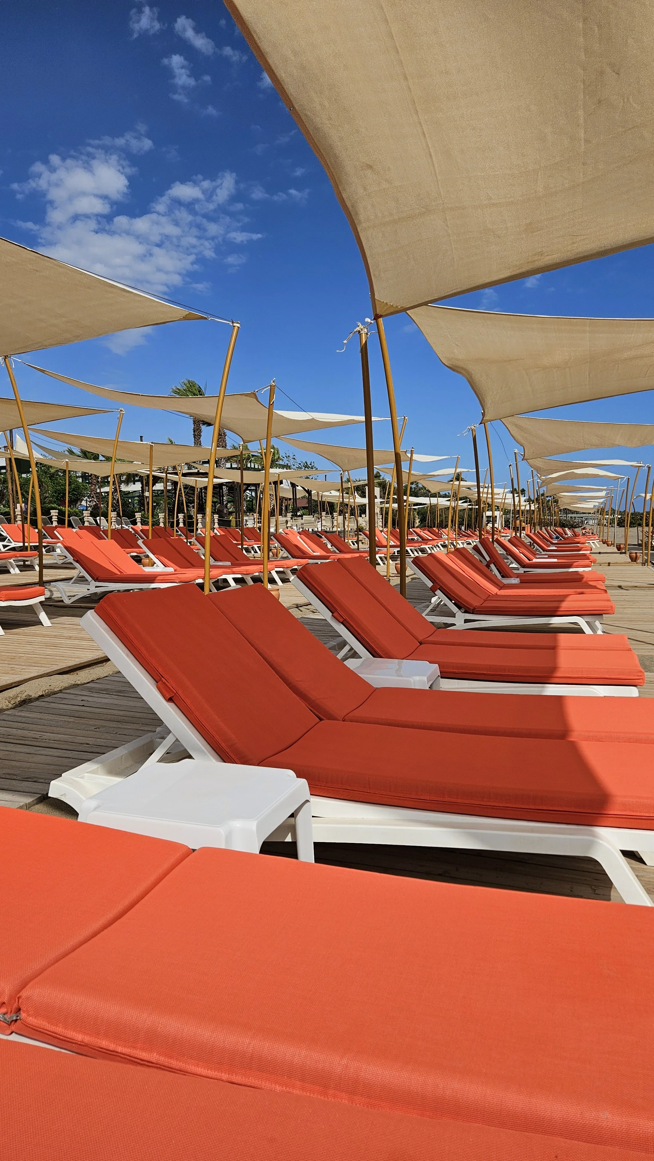 Empty orange lounge chairs with orange cushions under beige umbrellas on a wooden deck at the beach, with a clear blue sky and some clouds.