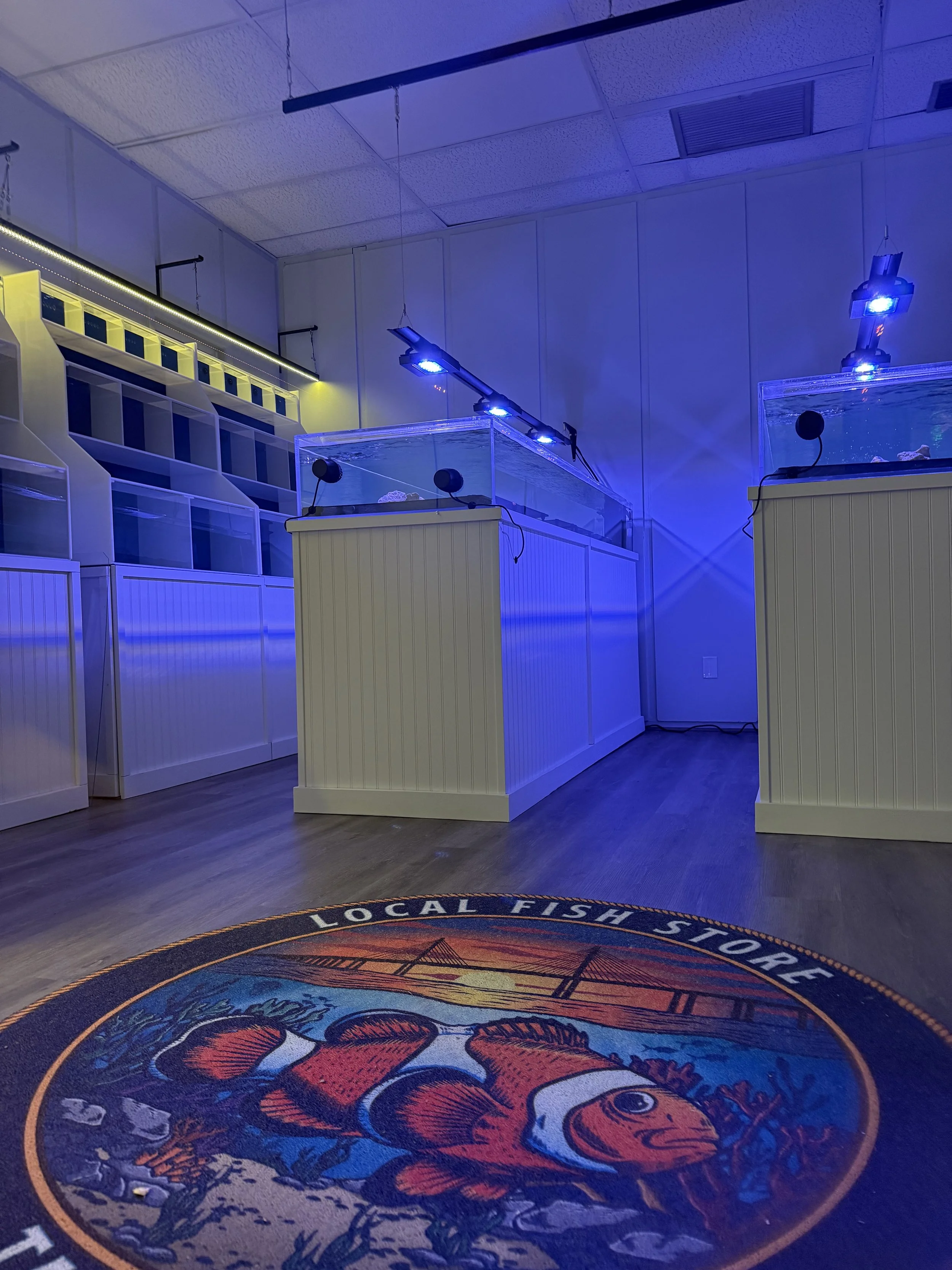 Indoor scene with a round rug featuring a colorful fish logo, surrounded by white display cases and blue lighting, in a retail or exhibit space.