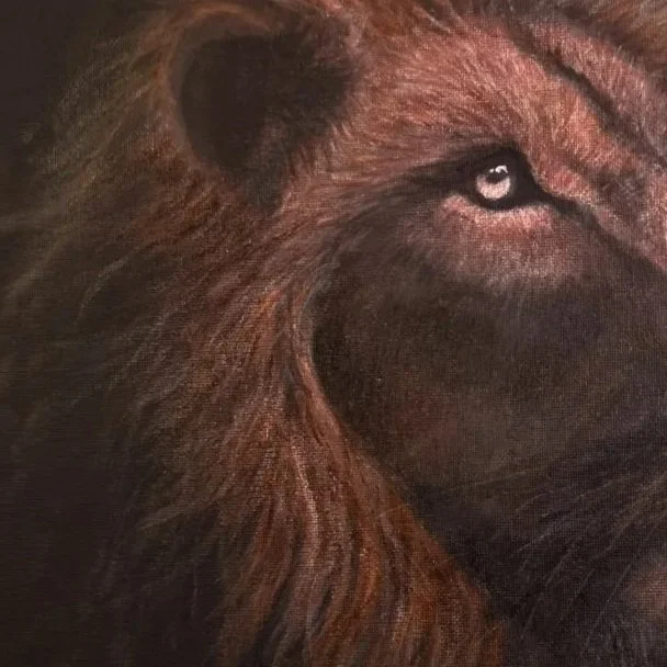 Close-up of a lions face focusing on its eye and part of its muzzle.