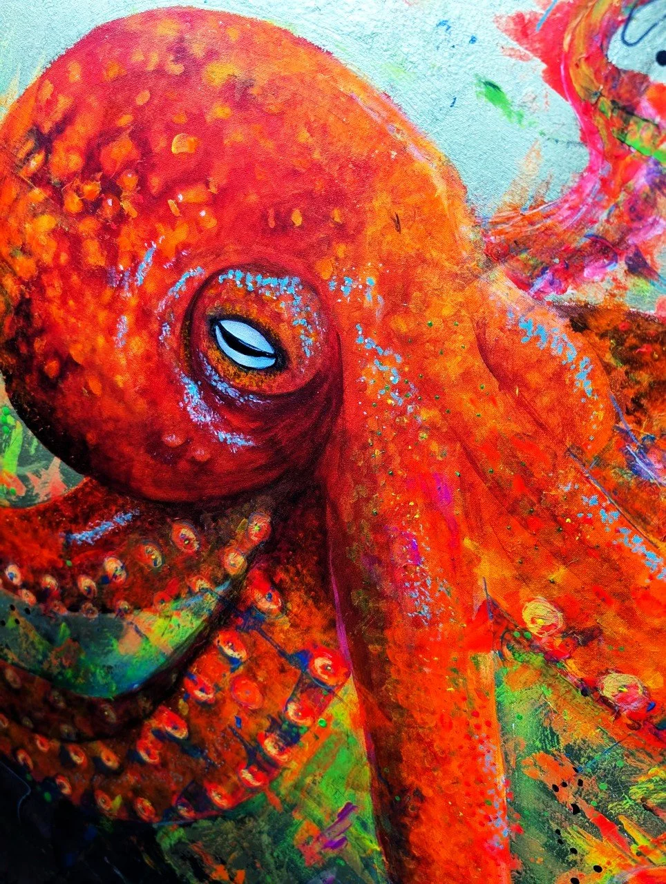 octo5.jpg