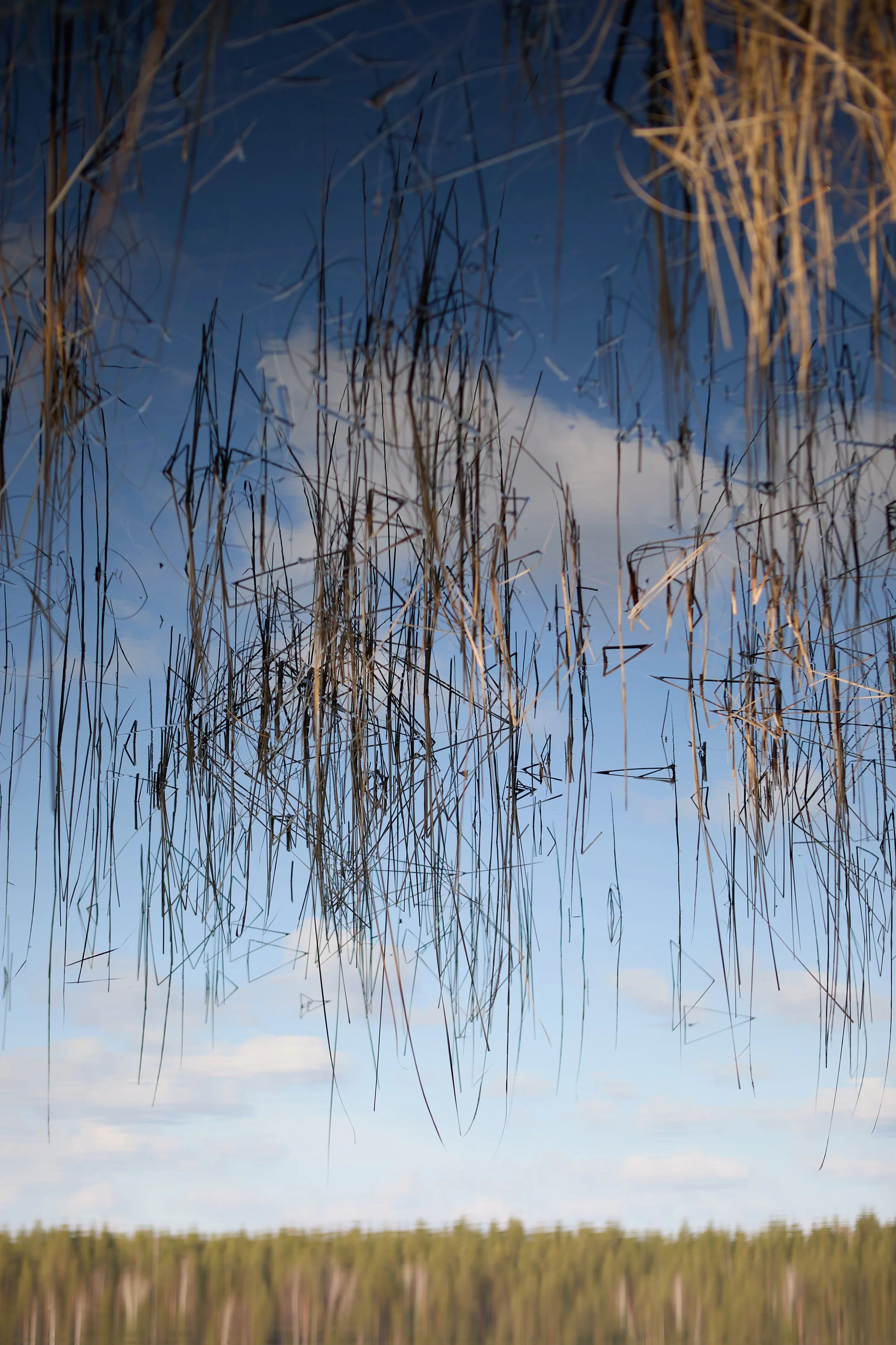 Water reflection