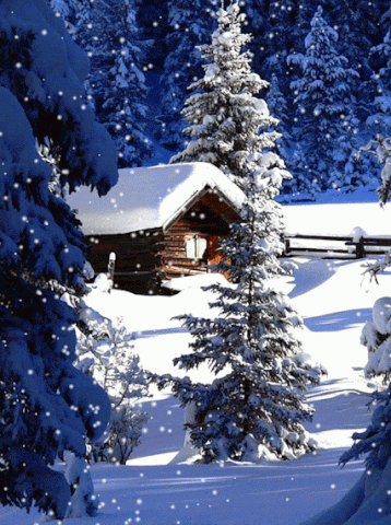 Snow-covered log cabin surrounded by tall pine trees in a snowy landscape.