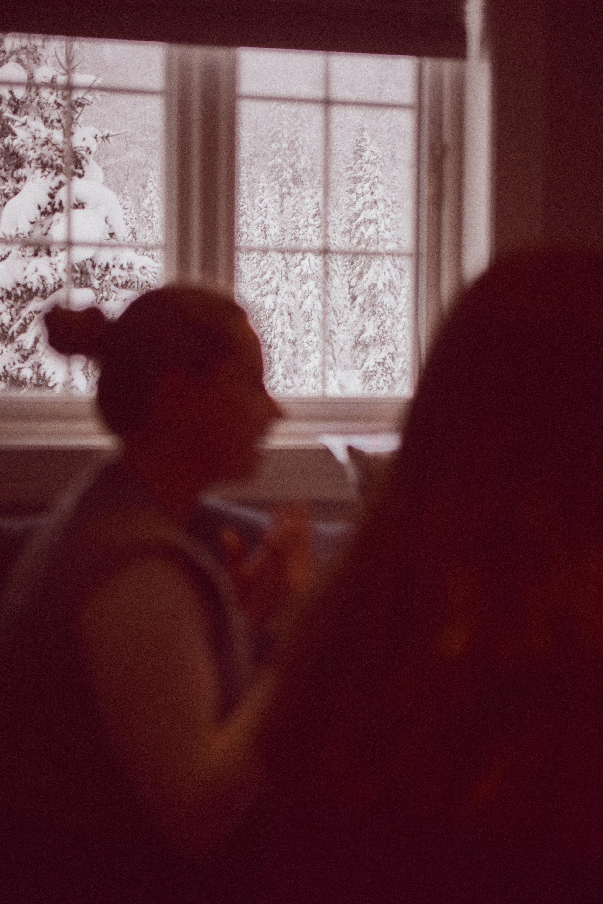 Snow-covered trees seen through a window with divided panes, indoors, during winter.