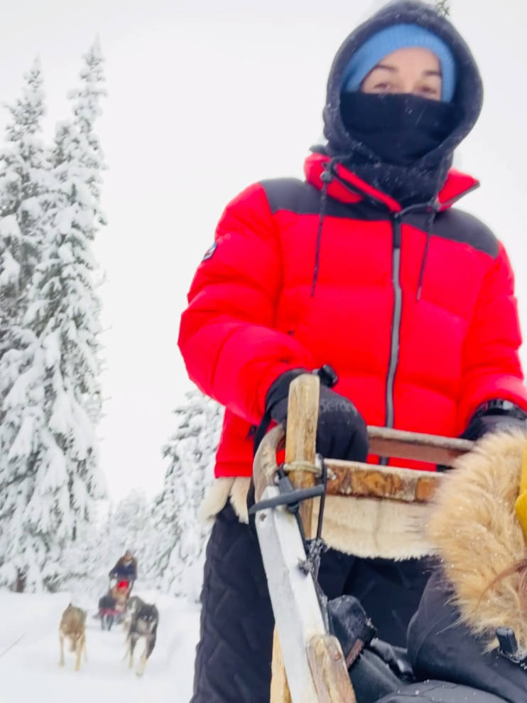 Person in red winter coat and blue beanie riding a dog sled team through a snowy forest, with two sled dogs visible in the background.