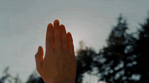 A hand raised with the palm open against a background of trees and a cloudy sky.