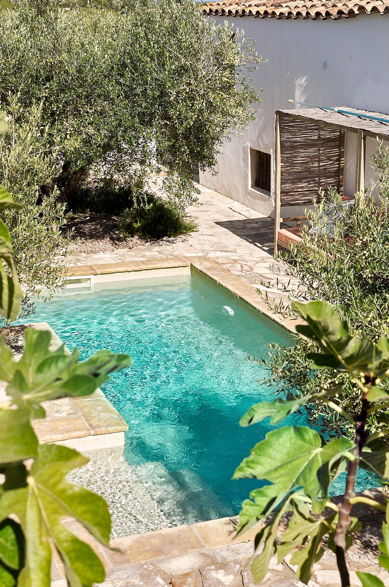 A swimming pool surrounded by green foliage, with a white building in the background and a shaded lounge area with a bamboo roof.