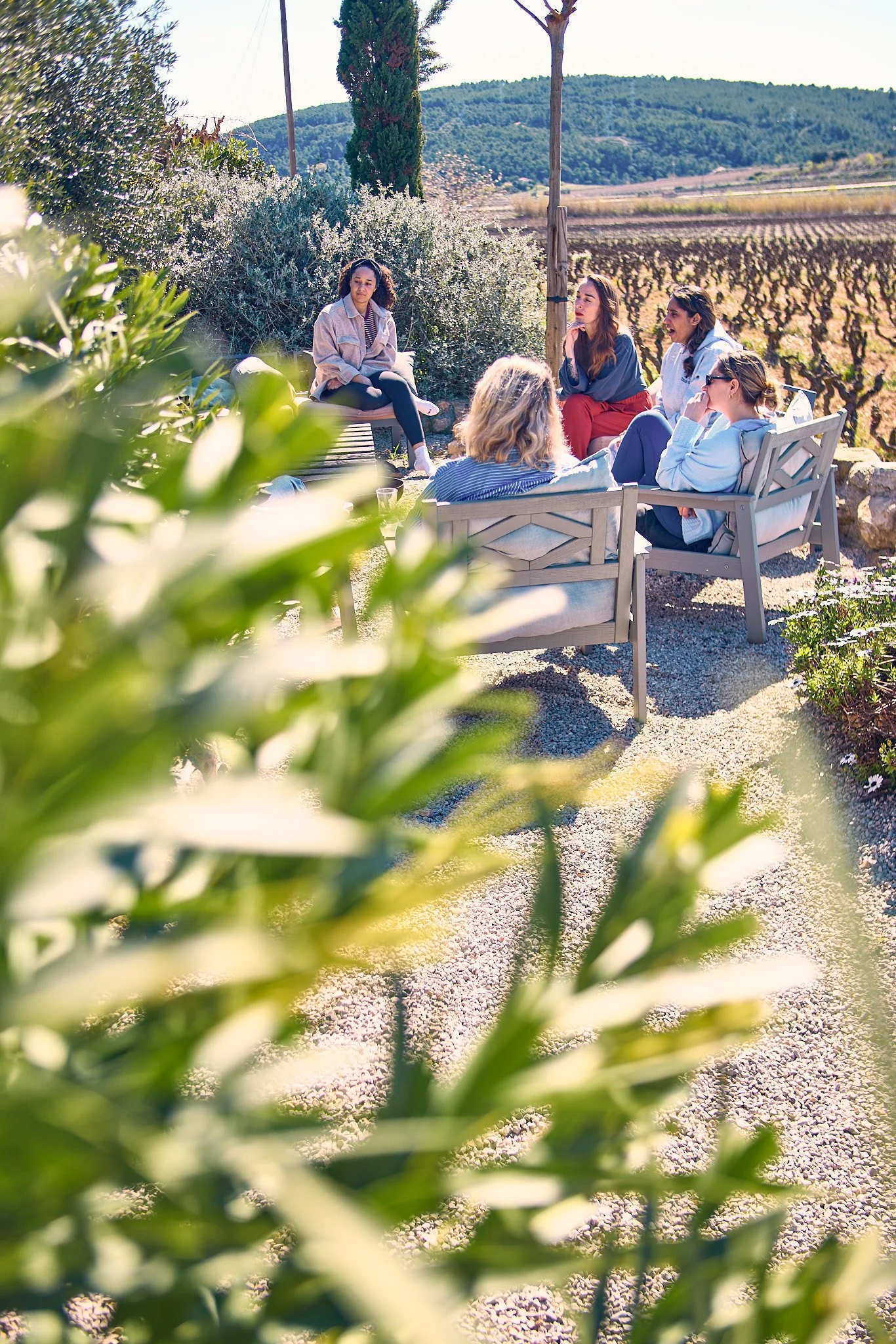 A group of five women sitting outdoors on chairs and a bench having a conversation, with a vineyard and hilly landscape in the background, and a blurred plant in the foreground.