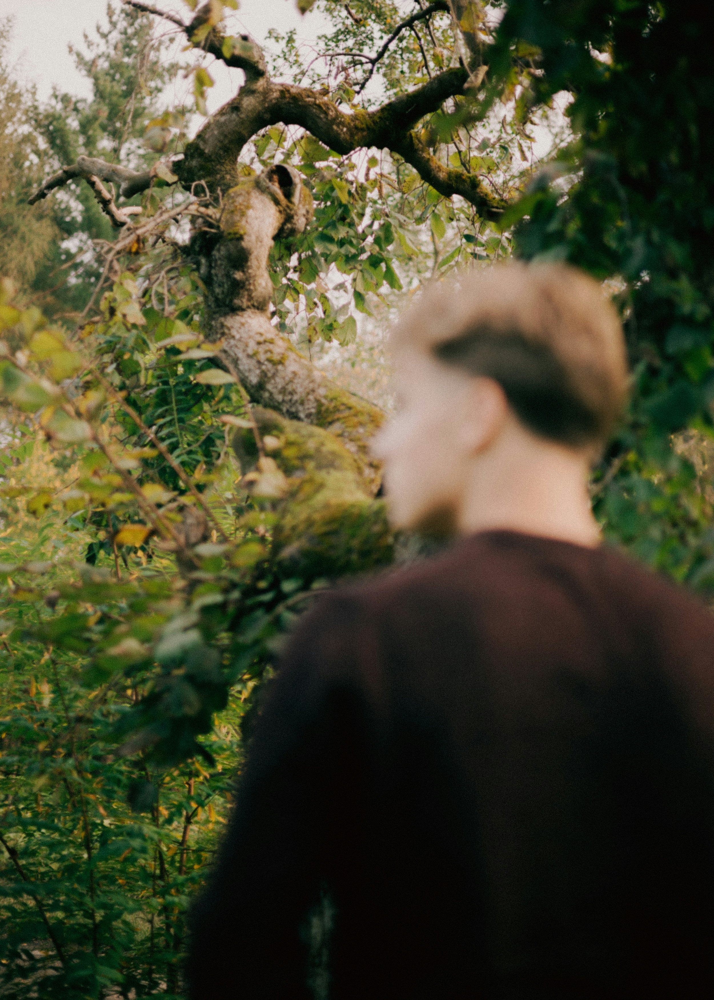 A person with white and dark-colored hair, wearing a dark top, facing a large tree branch covered in moss and leaves, in a natural outdoor setting with green foliage.