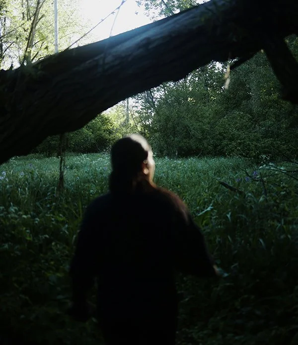 A person with long hair standing outdoors in a wooded area with green foliage, looking toward the sunlight filtering through the trees, with a large fallen tree in the foreground.