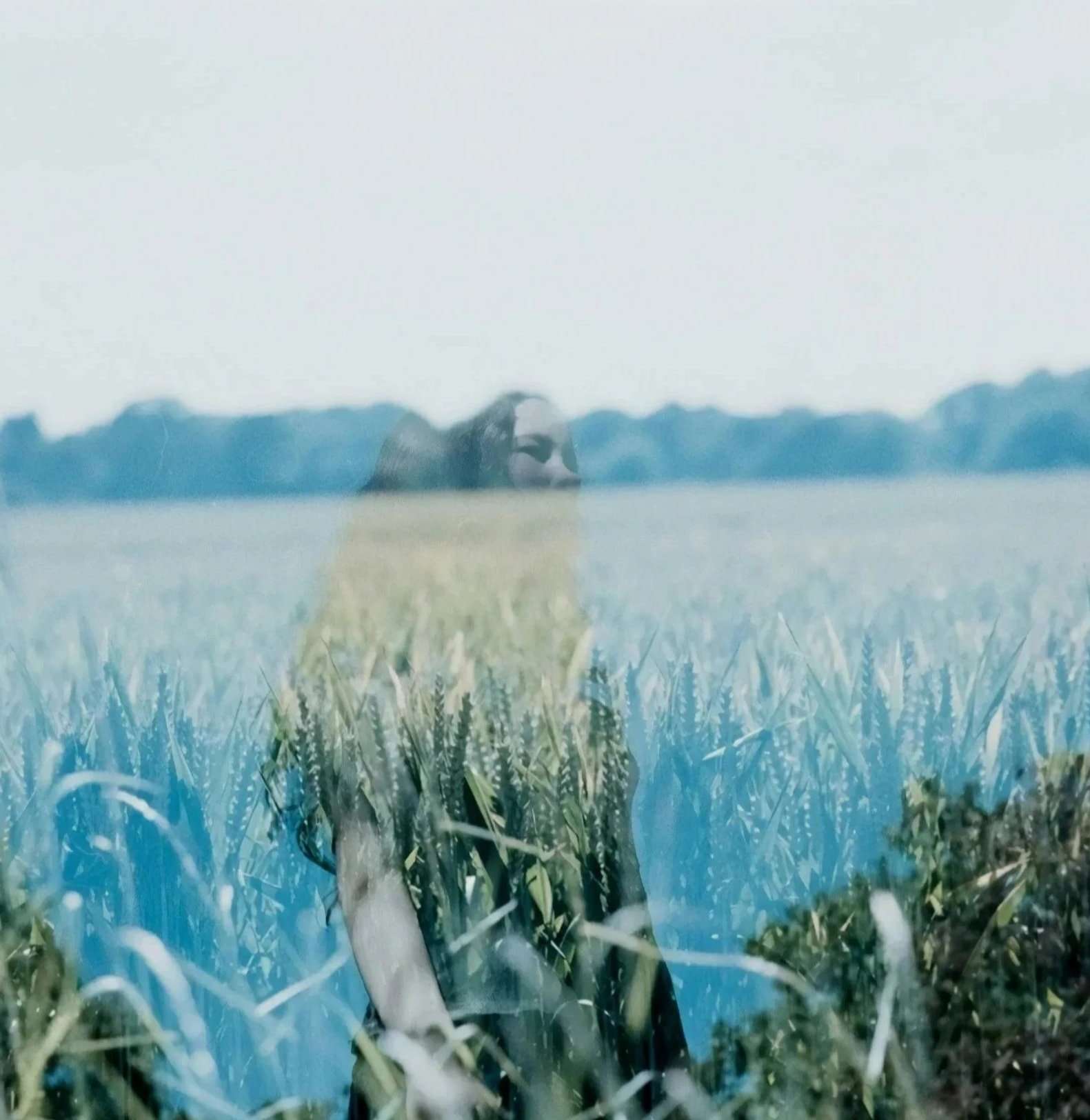 A person with a hat working in a field of tall grass with a body of water and tree-covered hills in the background.