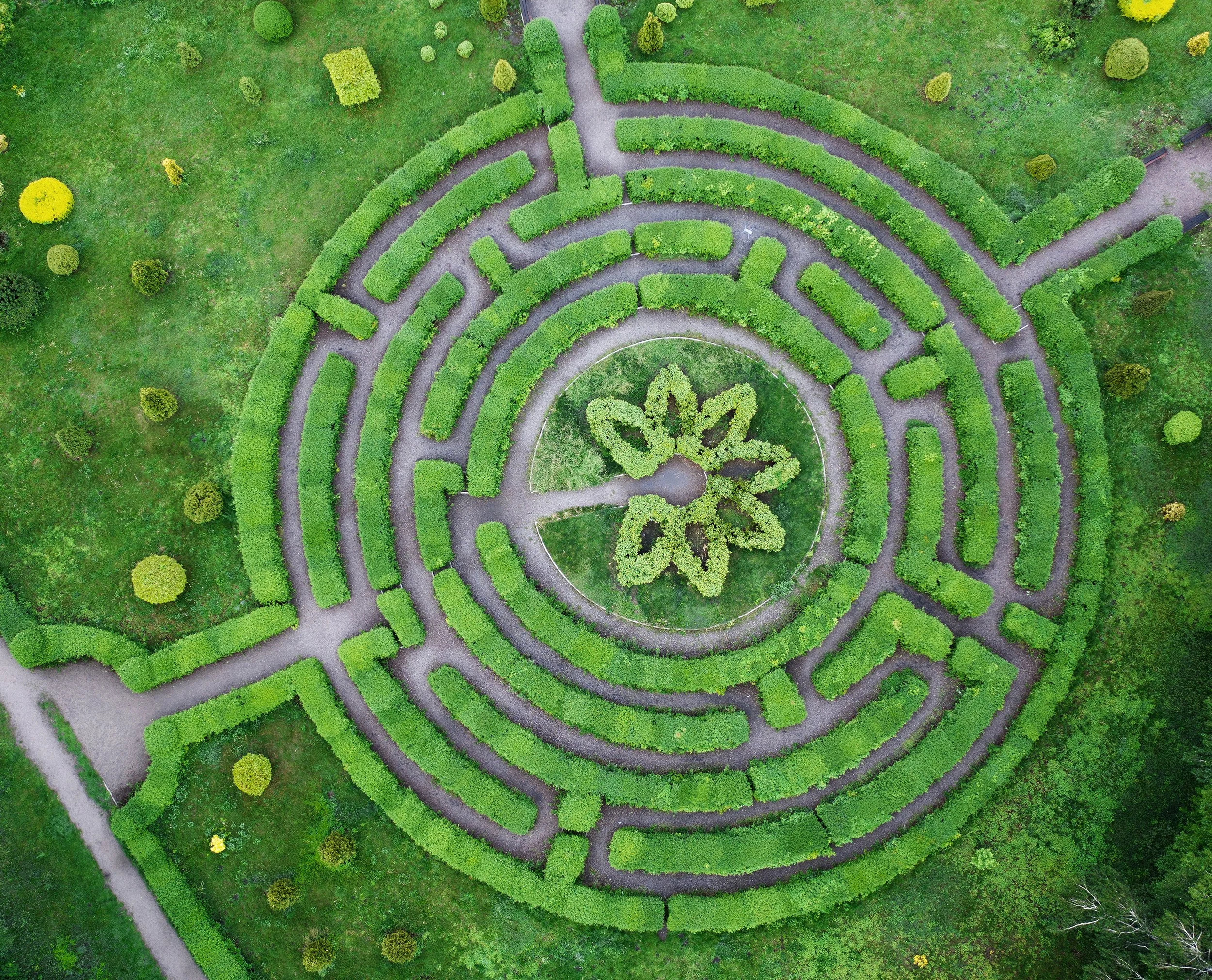 foundation_maze_72ppi.jpg