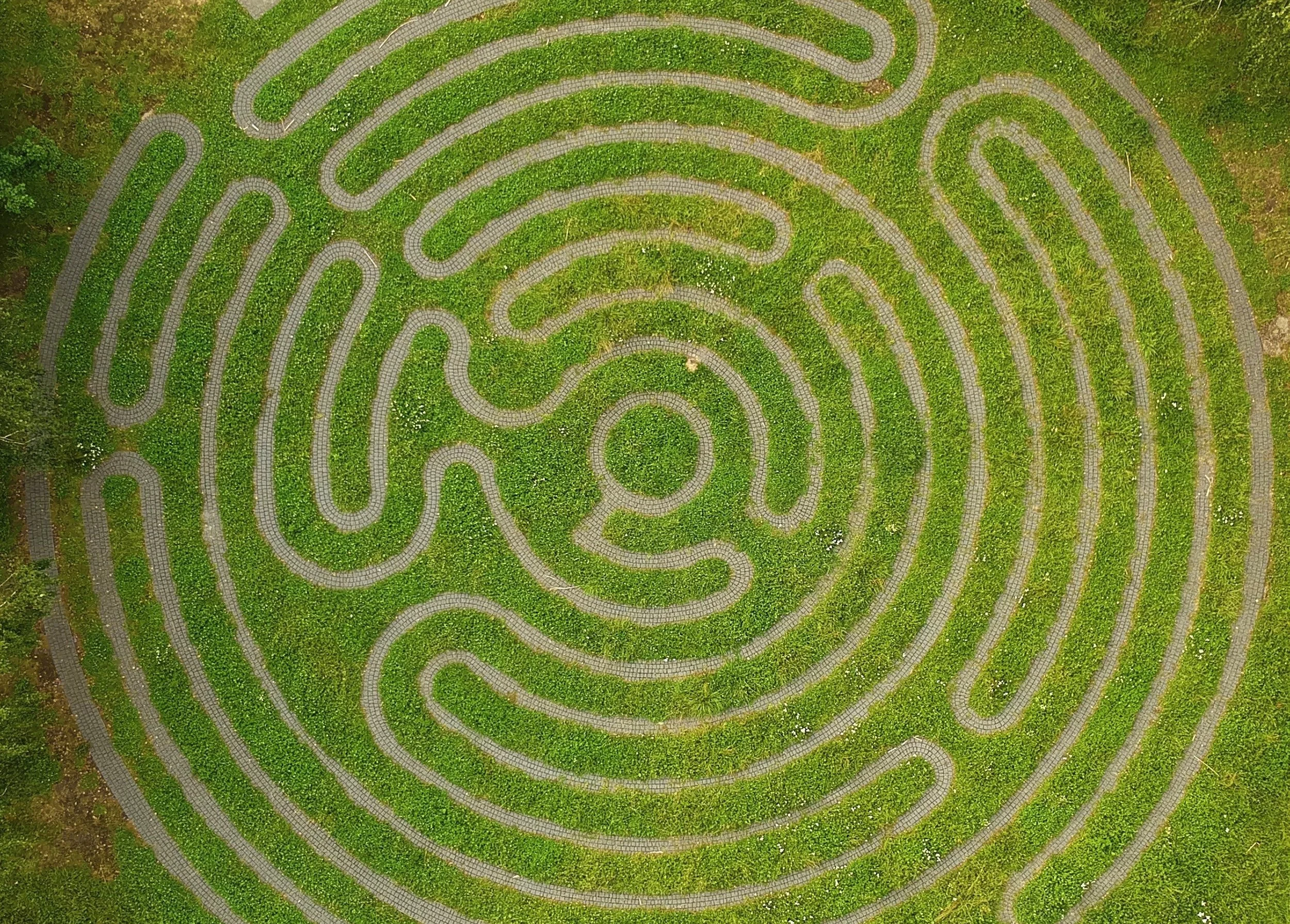 partners_maze_72ppi.jpg