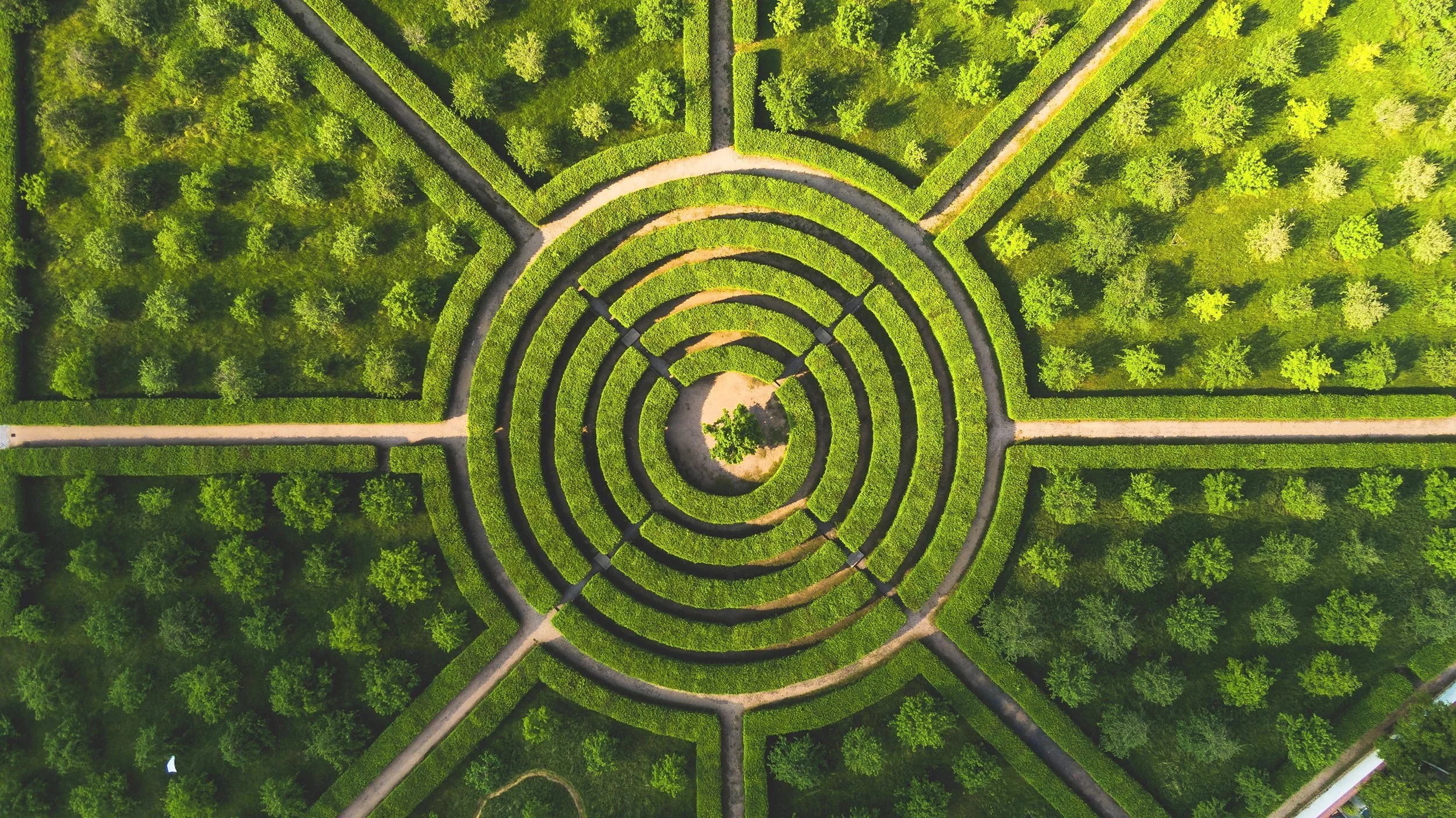 about_maze_72ppi.jpg