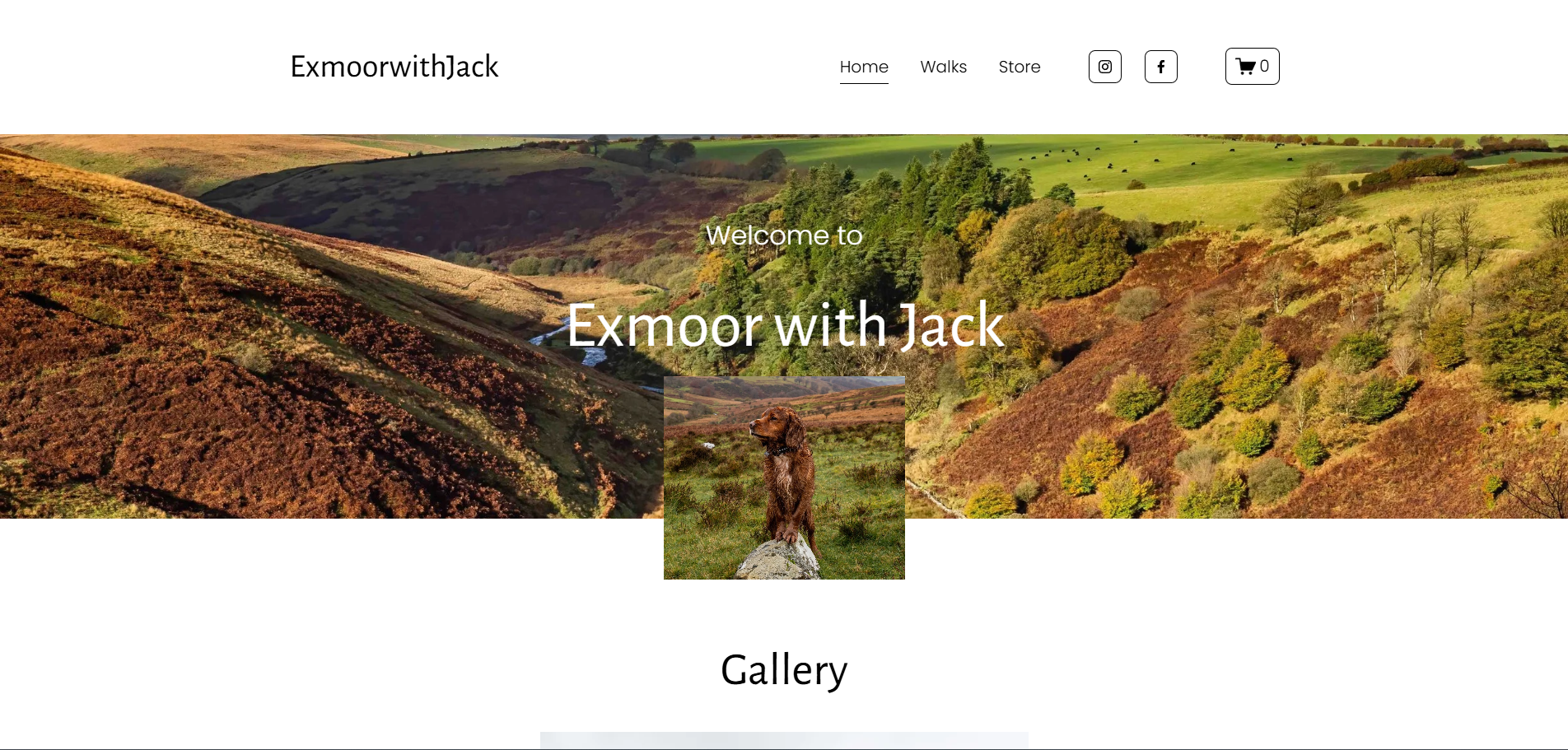 Website homepage for Exmoor with Jack featuring a landscape of rolling hills with grass and trees, and a dog standing on a rock in the foreground.