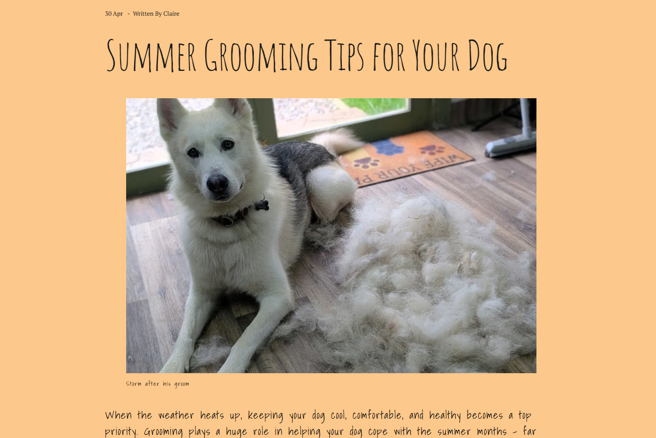 A husky dog sitting on a wooden floor next to a pile of shed fur, with a door and a welcome mat in the background.