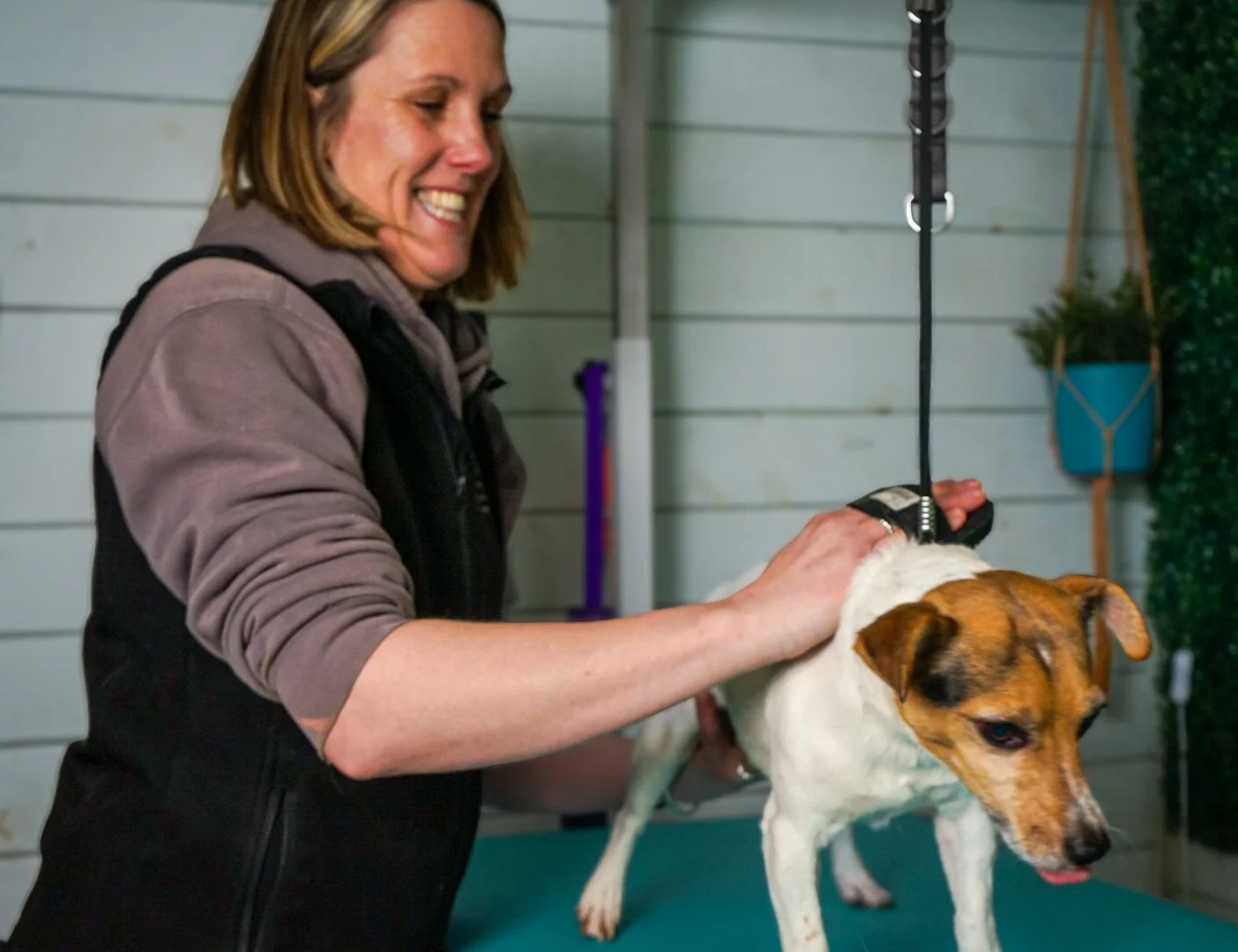 A woman smiling as she groomes a small dog on a grooming table in a grooming salon.