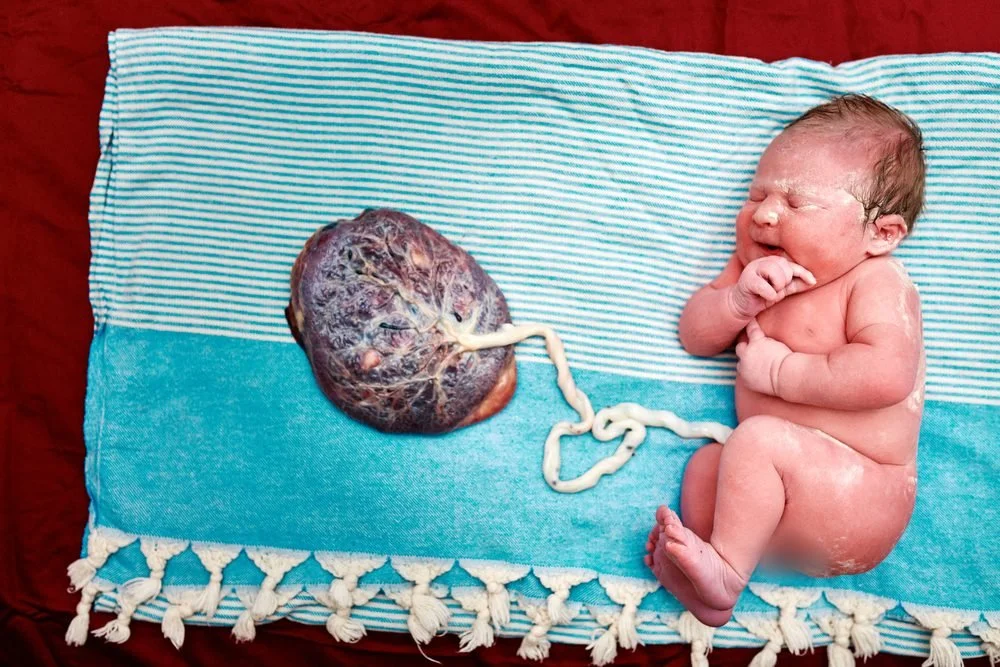 Birth photography in Austin, Texas by Breeanna Rose Photography. Birth photograph from Bree's own favorites.