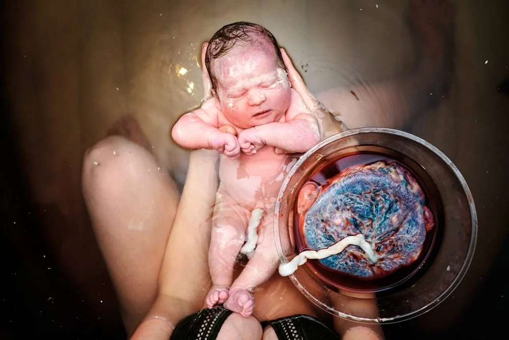 Birth photography in Austin, Texas by Breeanna Rose Photography. Birth photograph from Bree's own favorites.