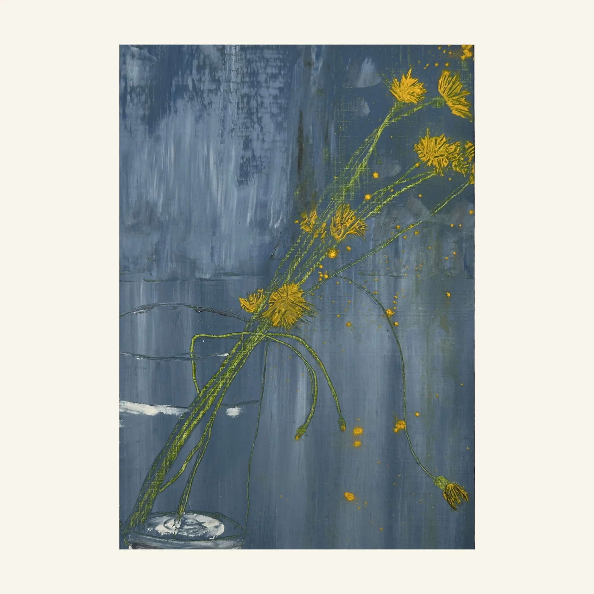 Hypochaeris Radicata study I
