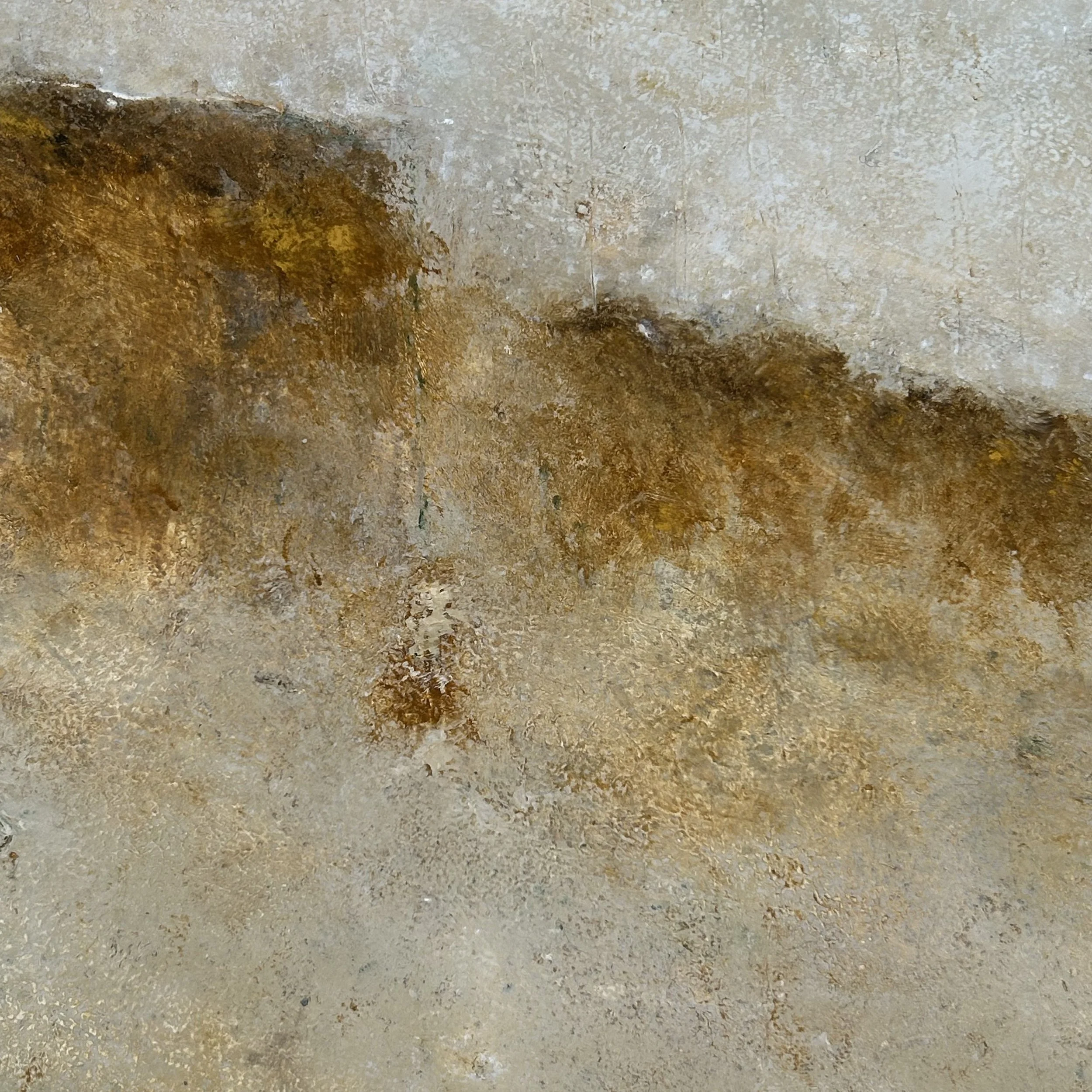 Weald Revealed detail 3.jpeg