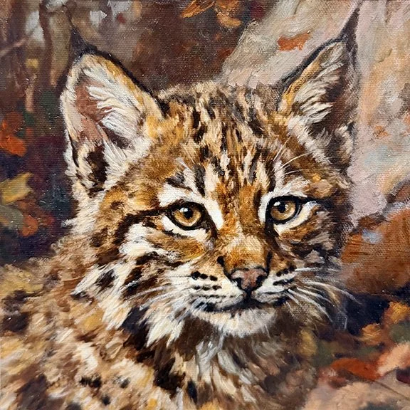 Lynx Kit for website.jpg