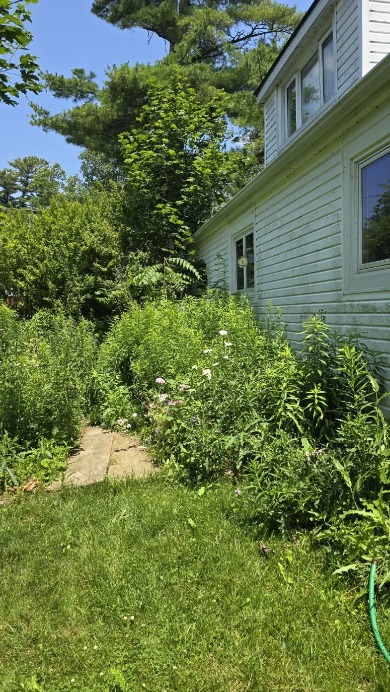 20250705_135744.jpg