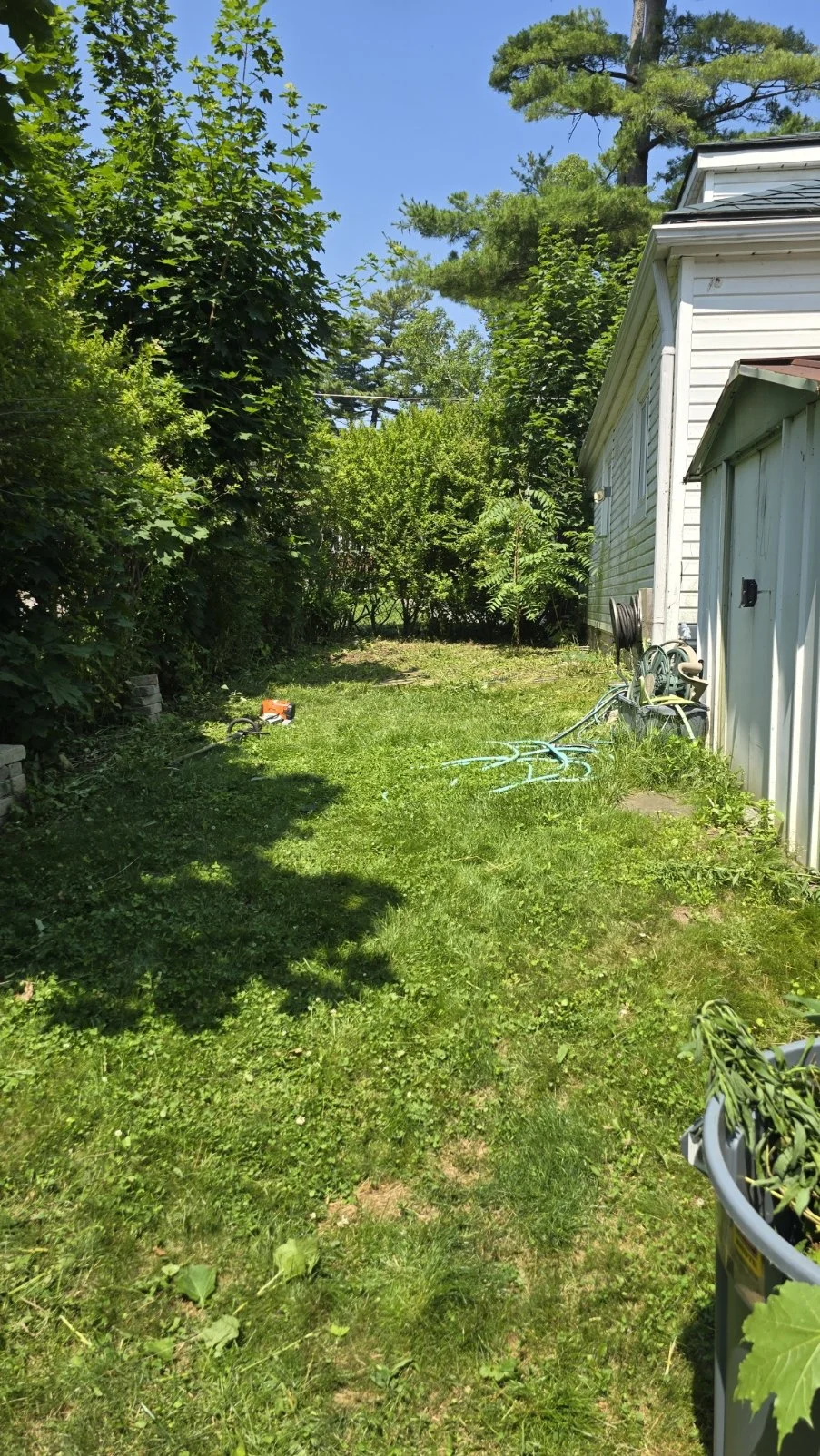 20250705_145223.jpg