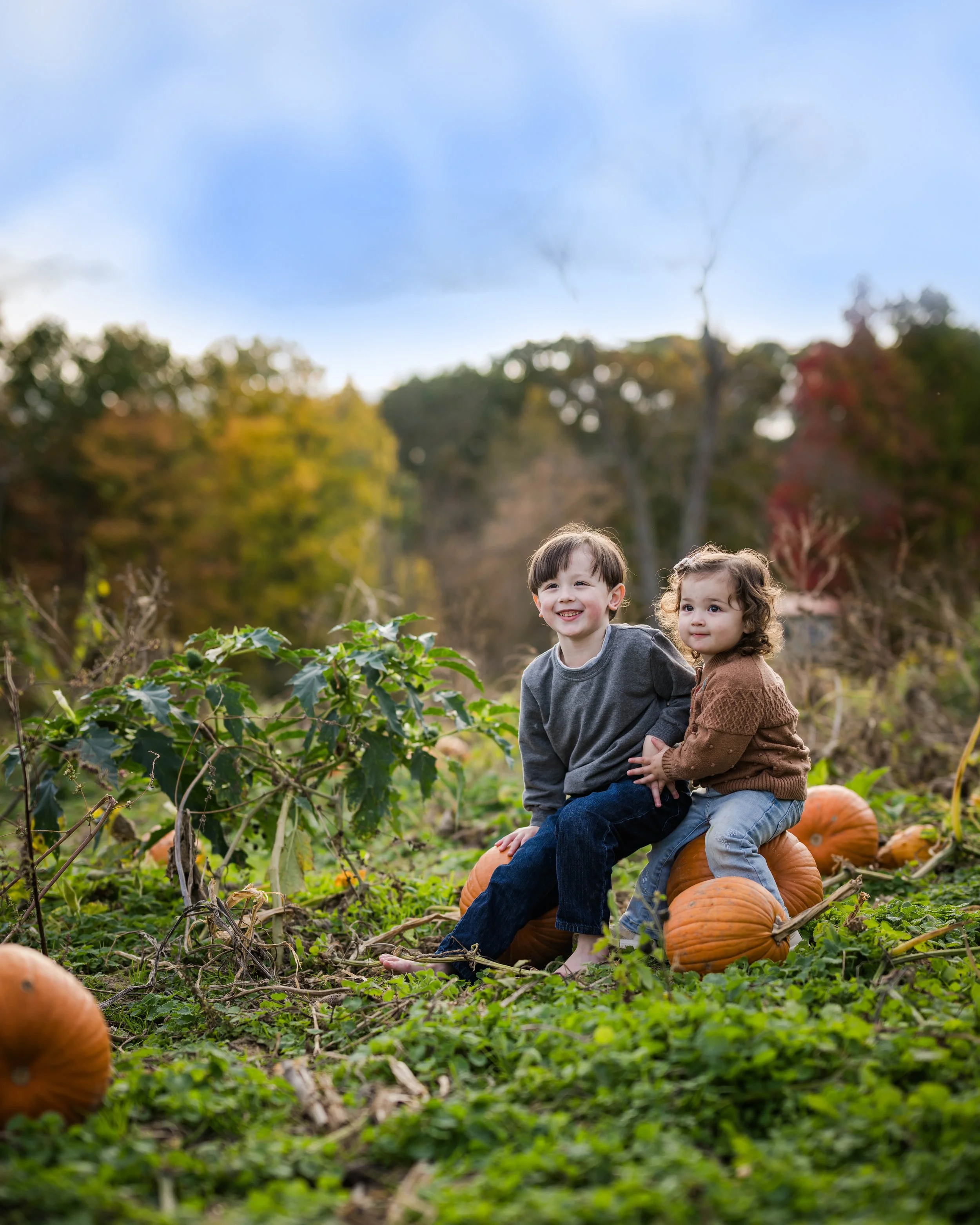PumpkinPatch44.jpg