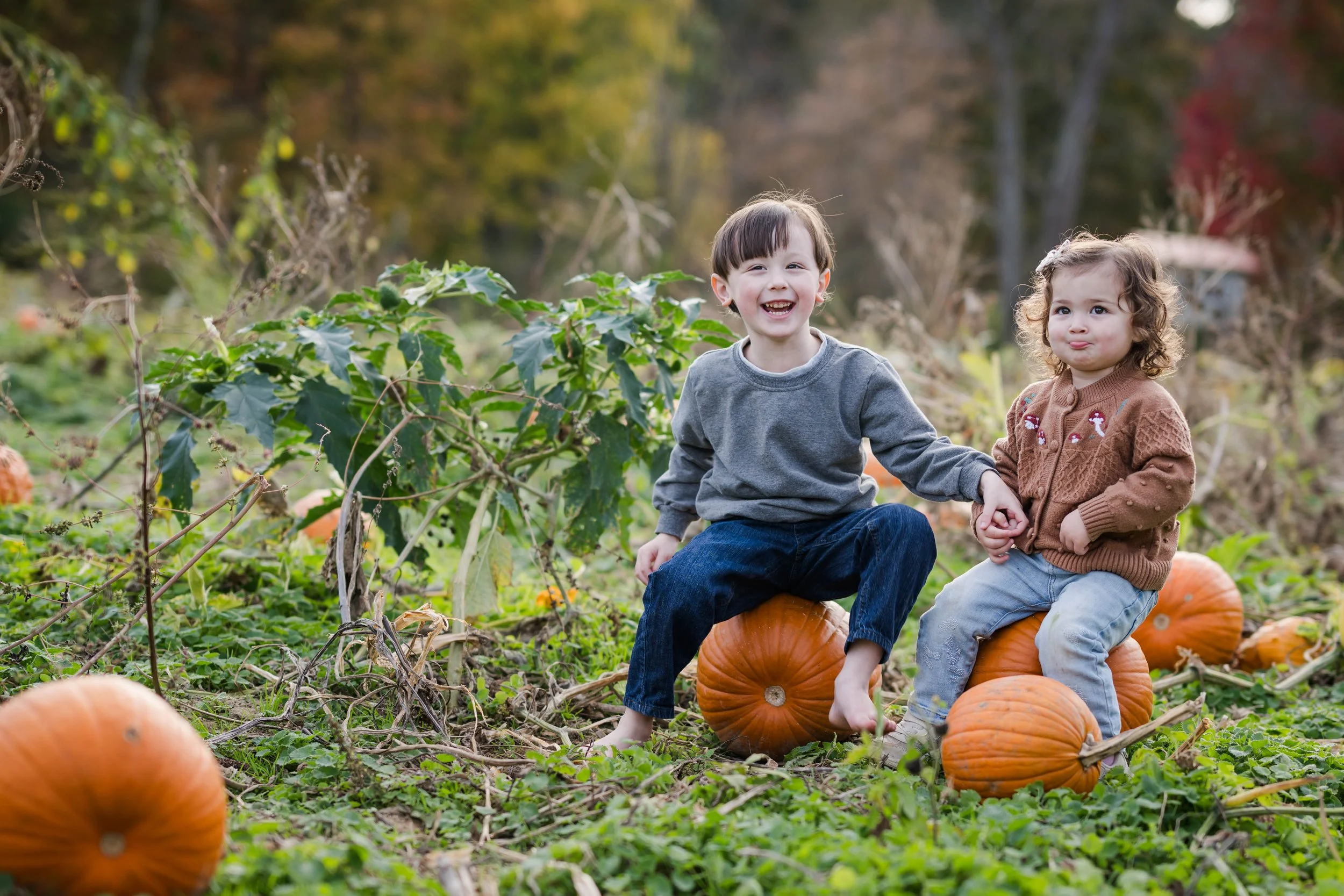 PumpkinPatch48.jpg