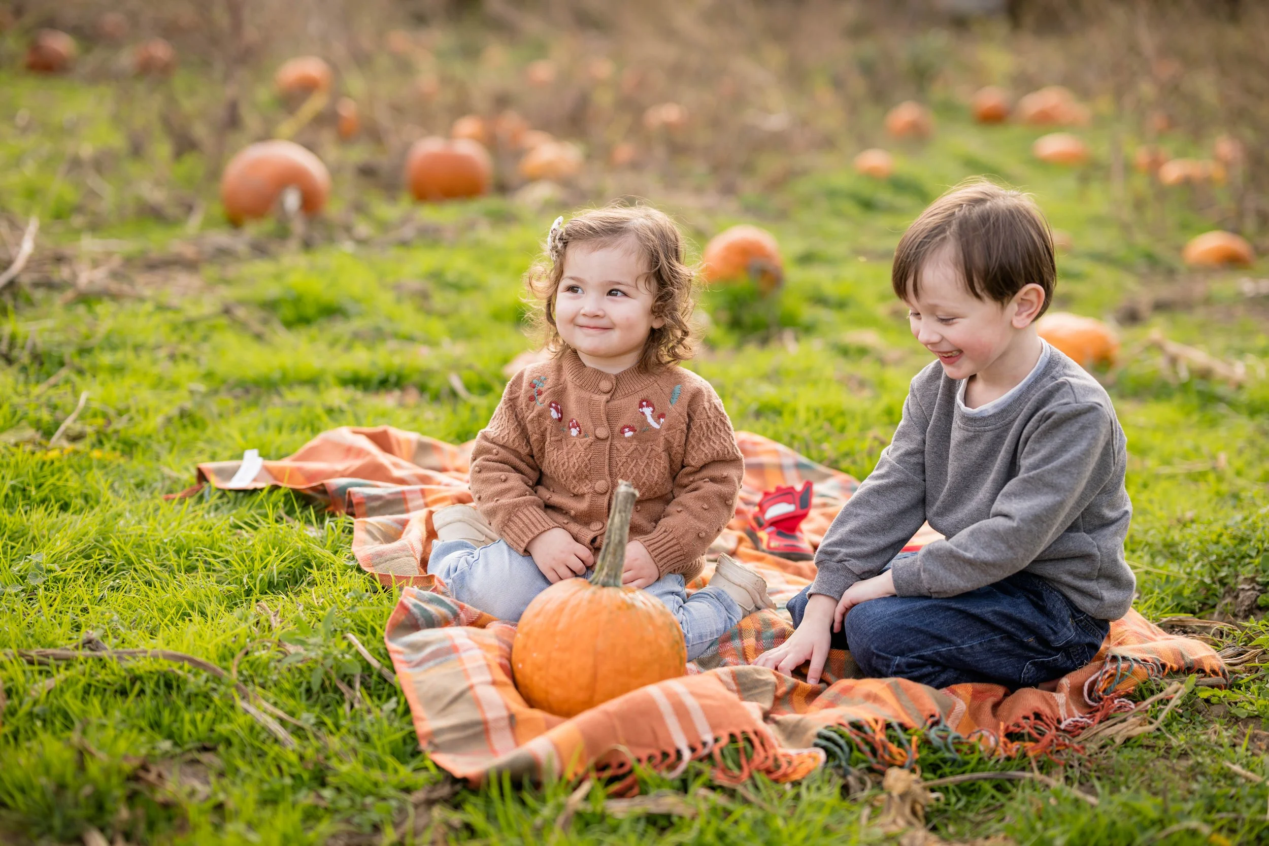 PumpkinPatch37.jpg