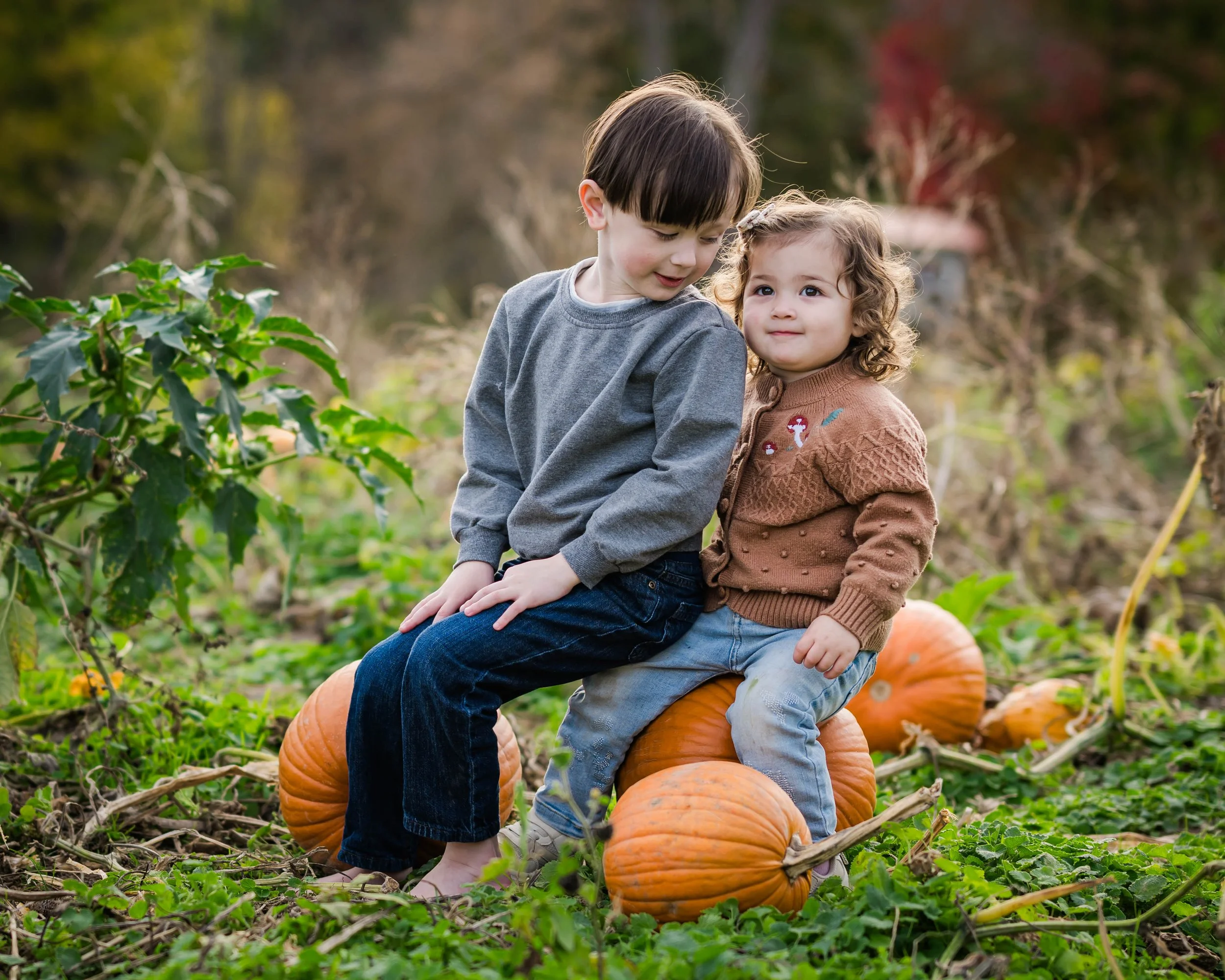 PumpkinPatch12.jpg