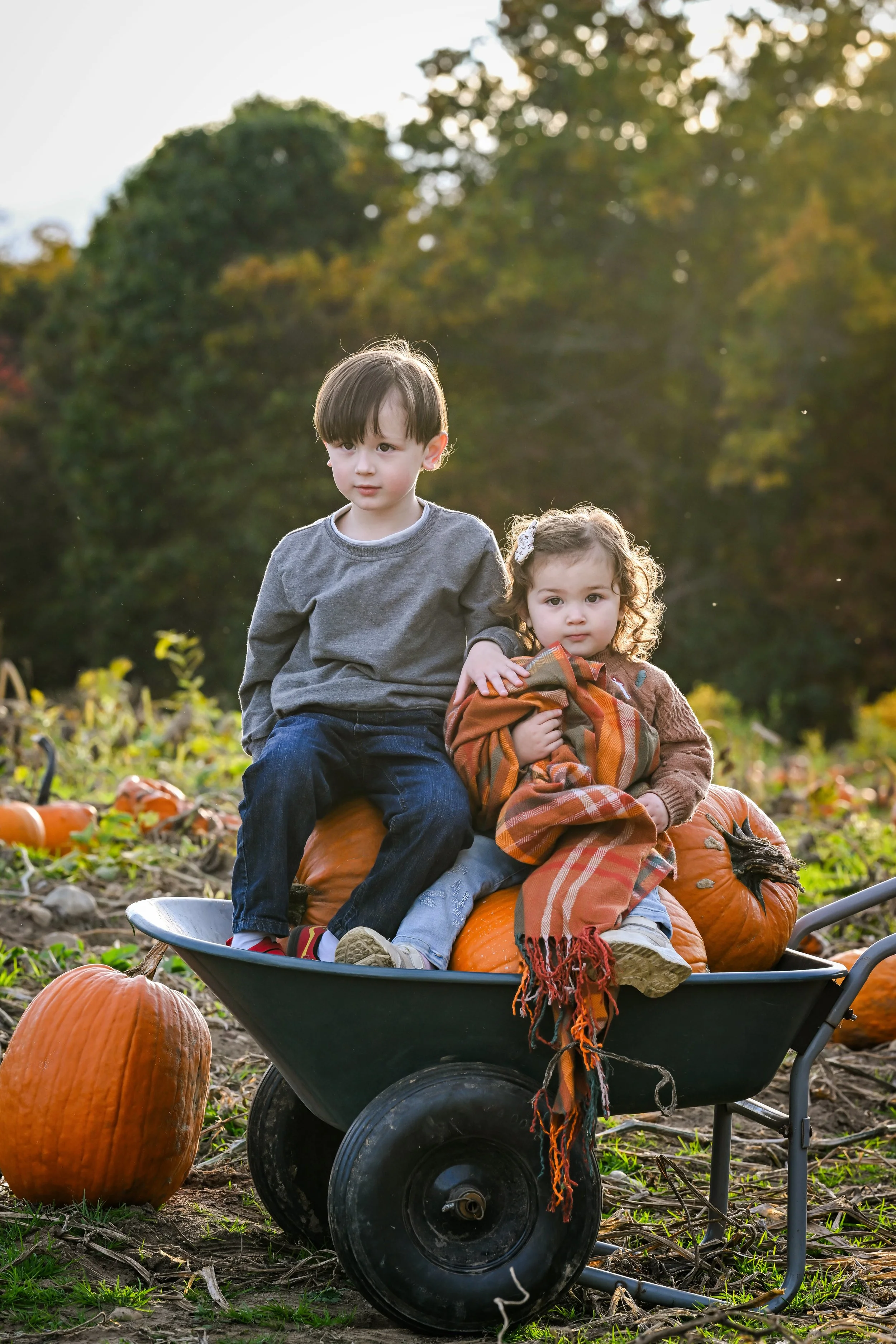 PumpkinPatch1.jpg