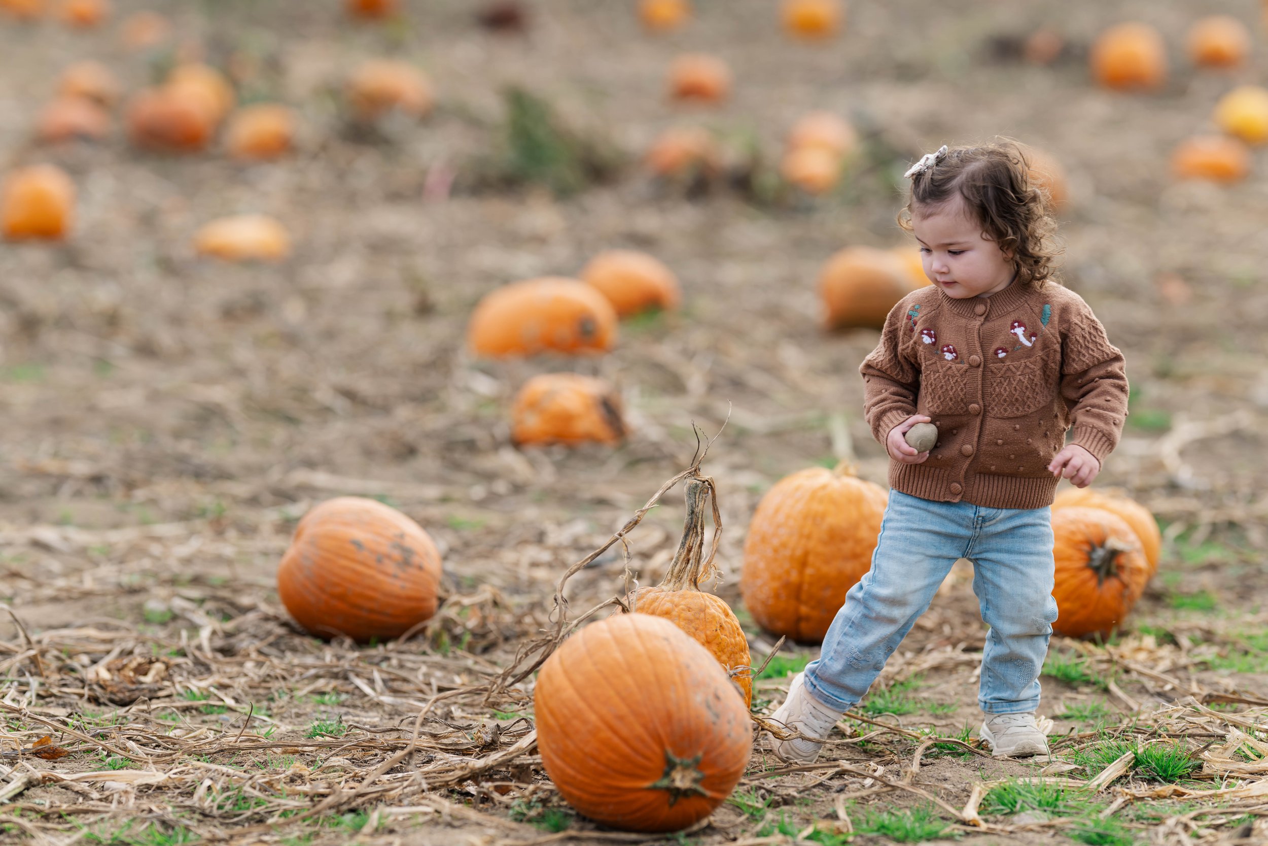 PumpkinPatch18.jpg