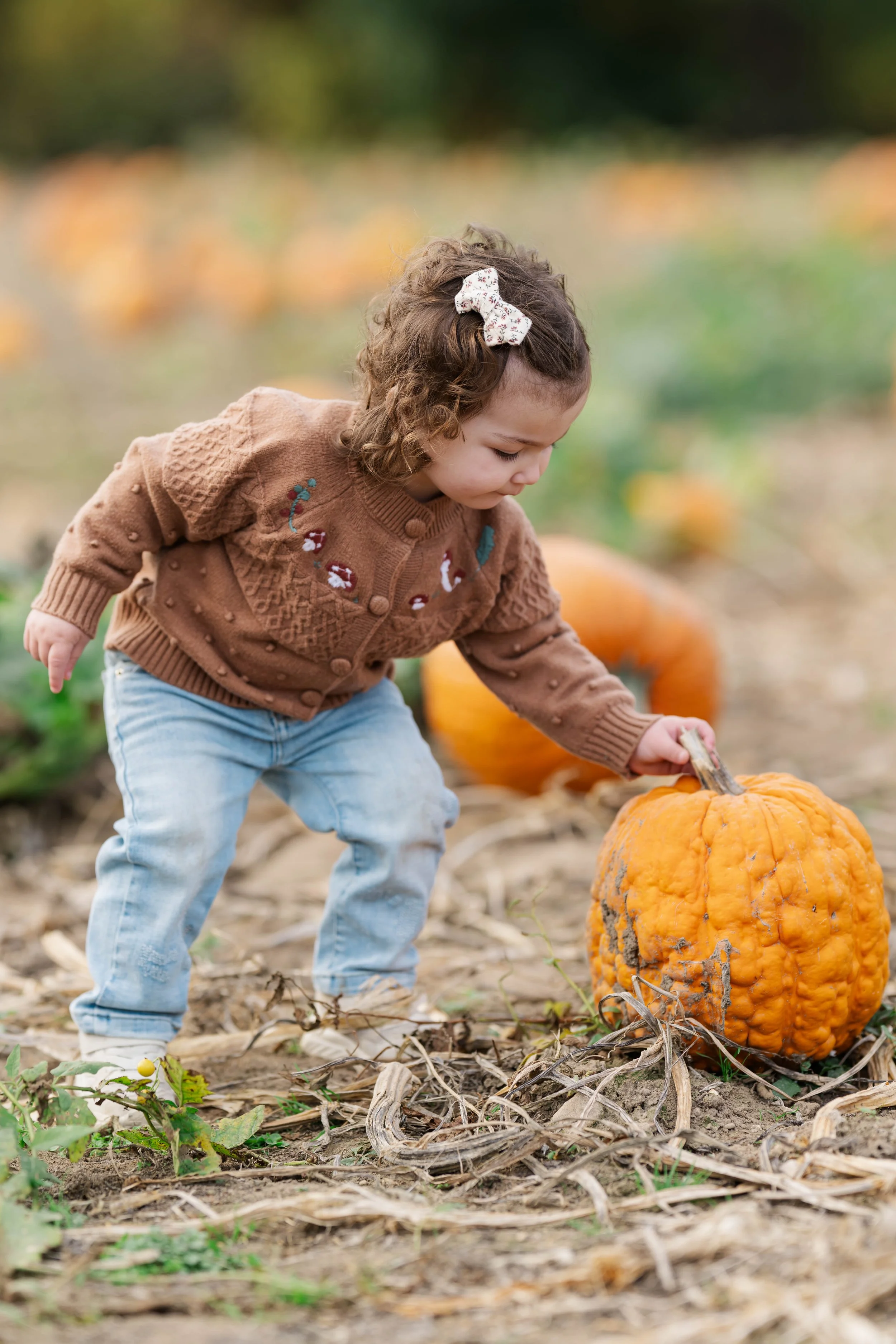 PumpkinPatch19.jpg