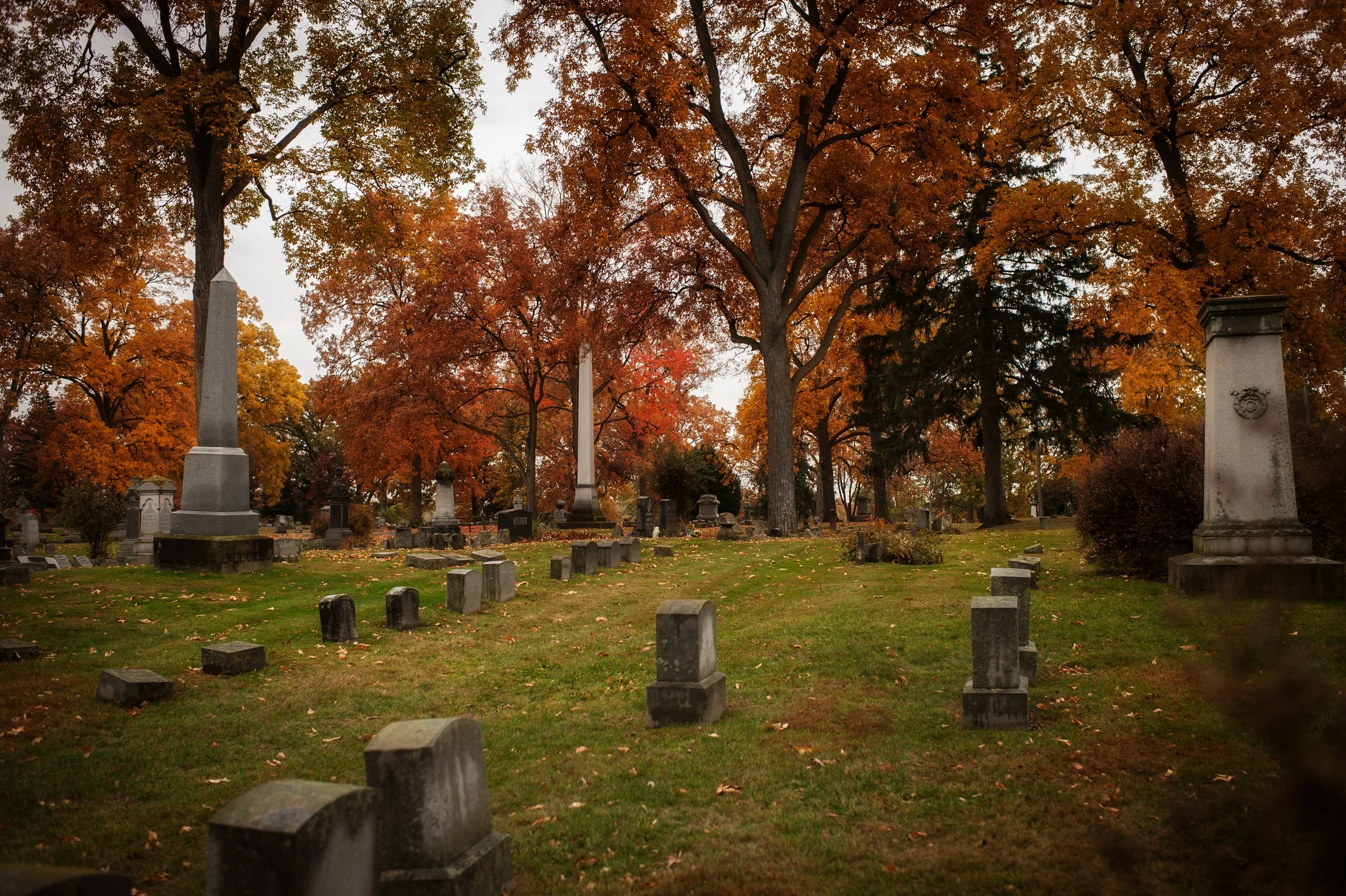 Halloween12.jpg