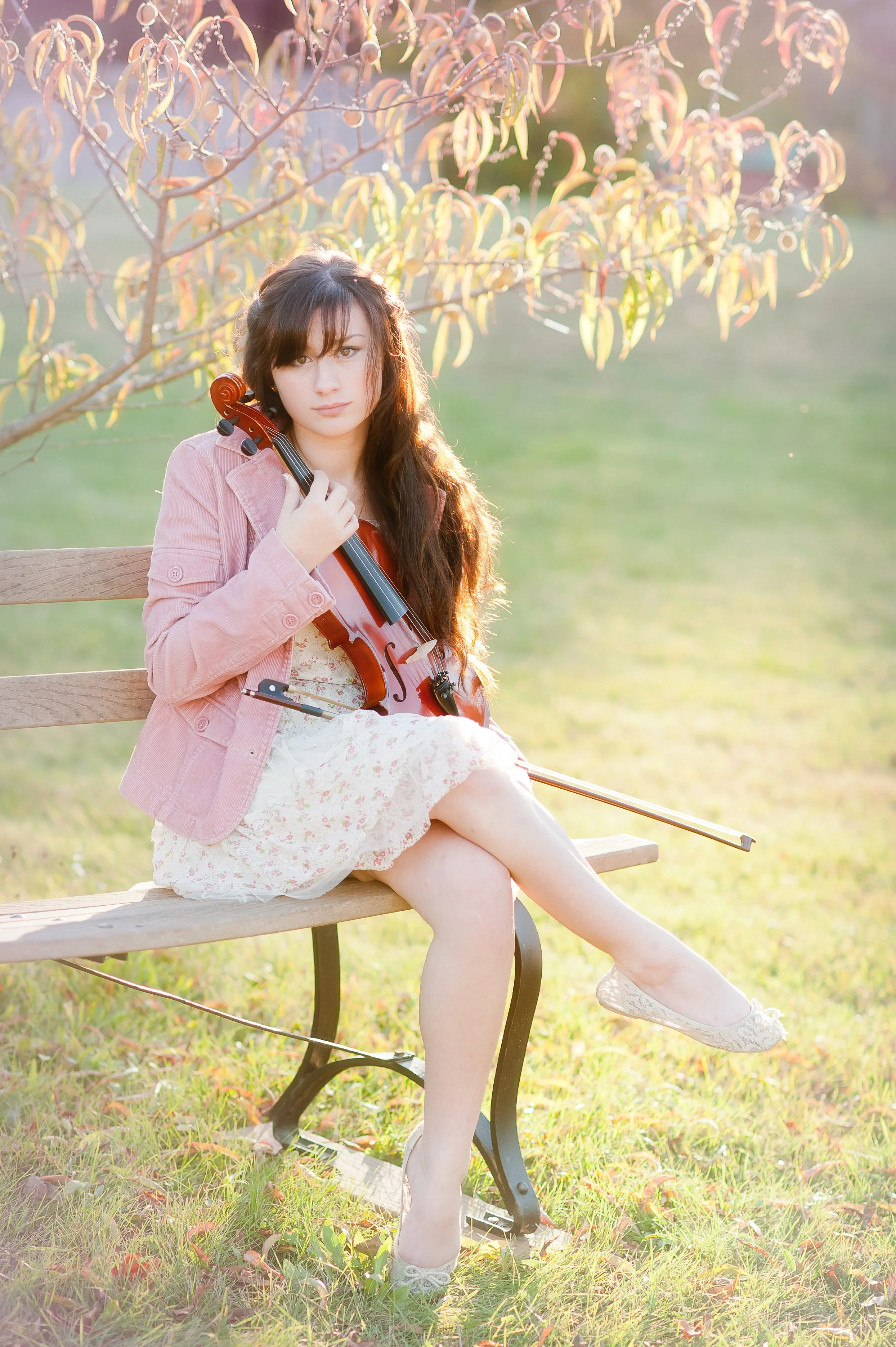 serenade 3.jpg