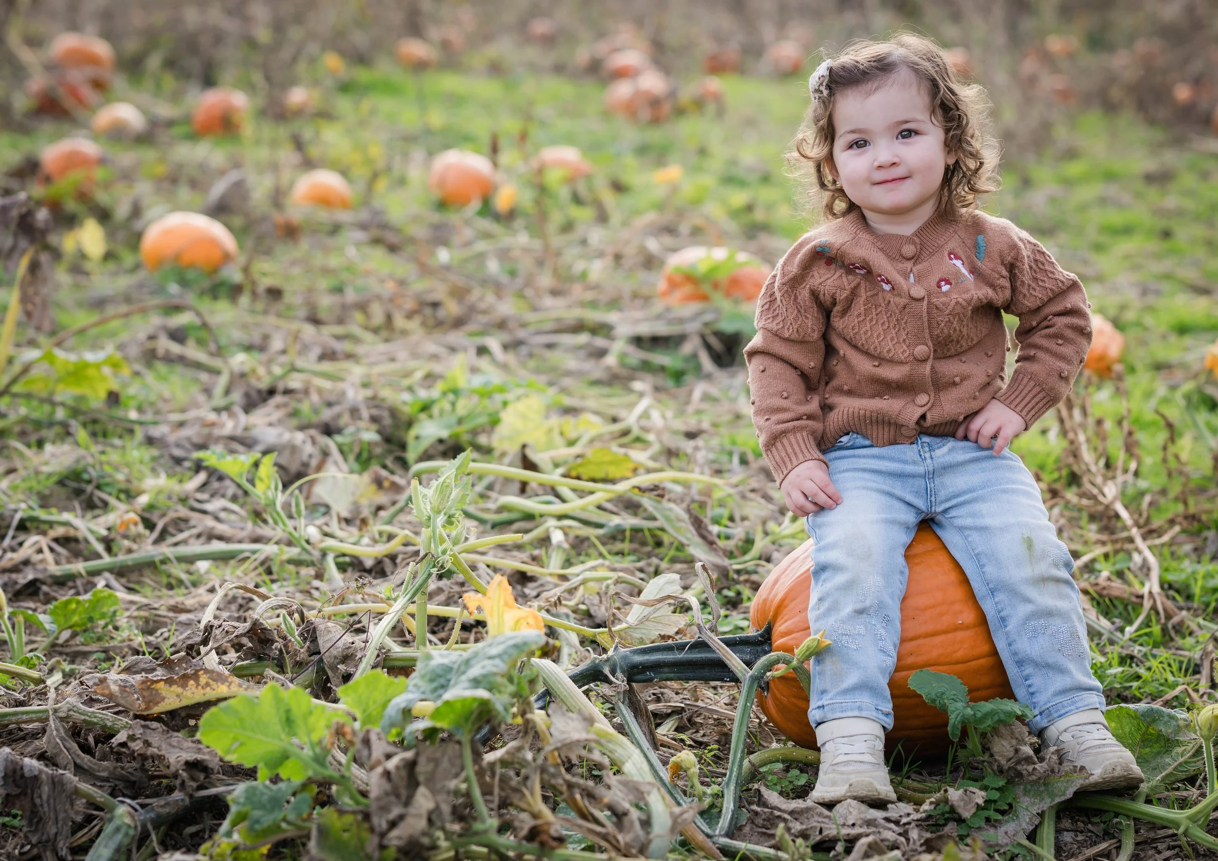 PumpkinPatch31.jpg