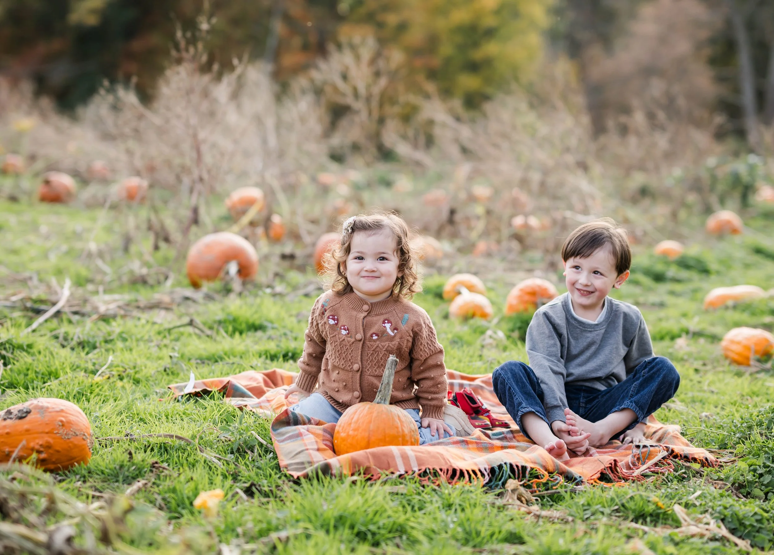 PumpkinPatch4.jpg
