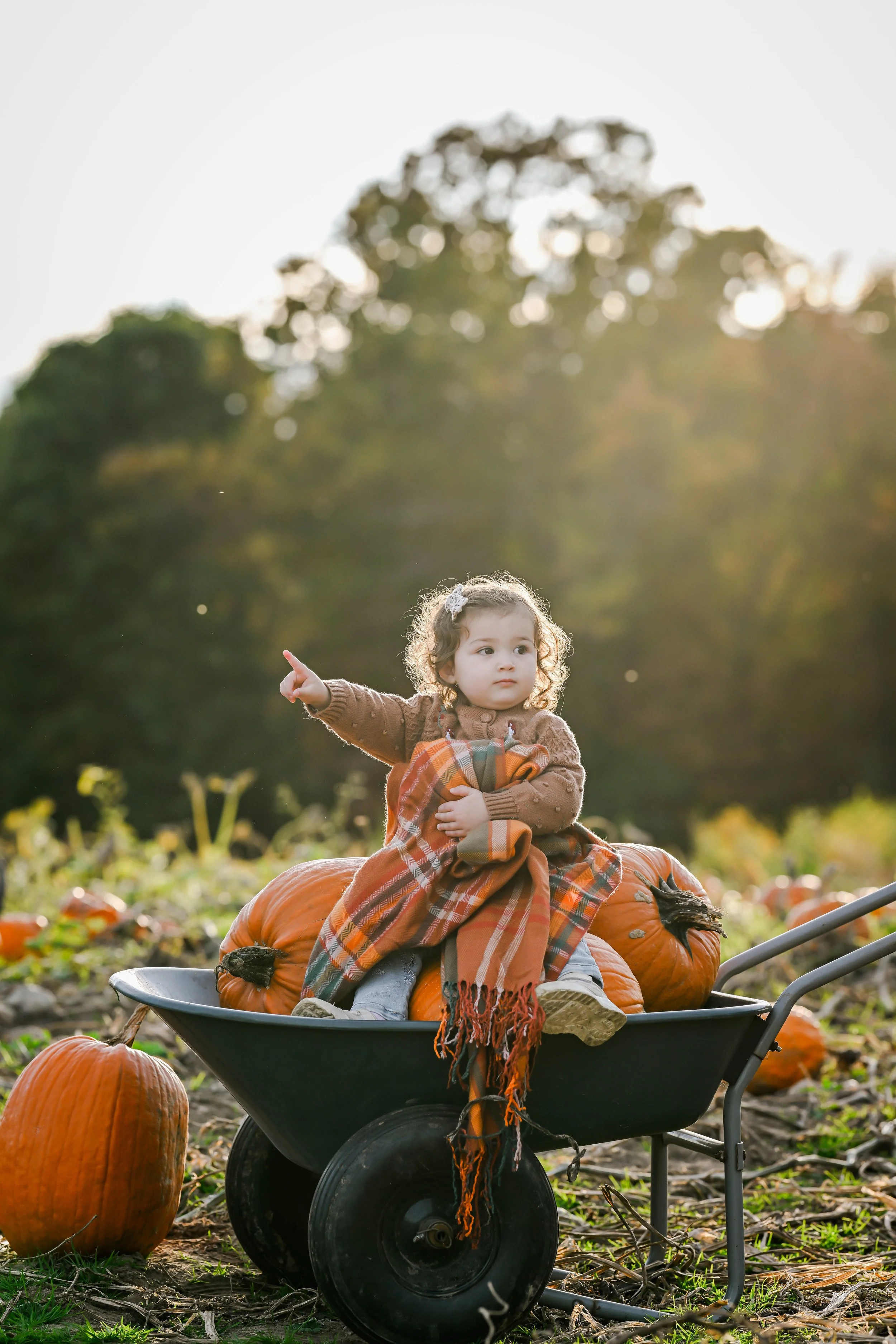 PumpkinPatch47.jpg