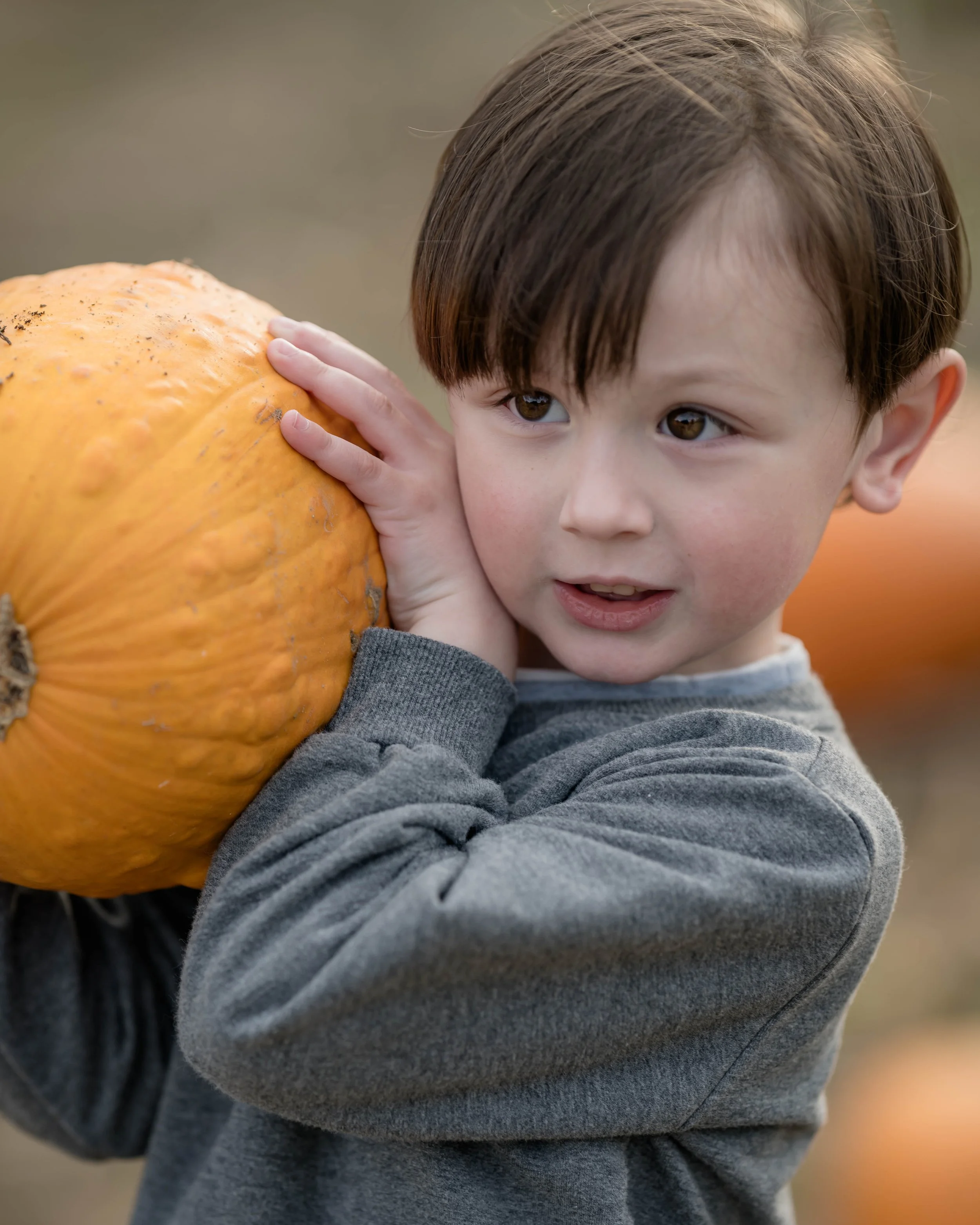 PumpkinPatch11.jpg