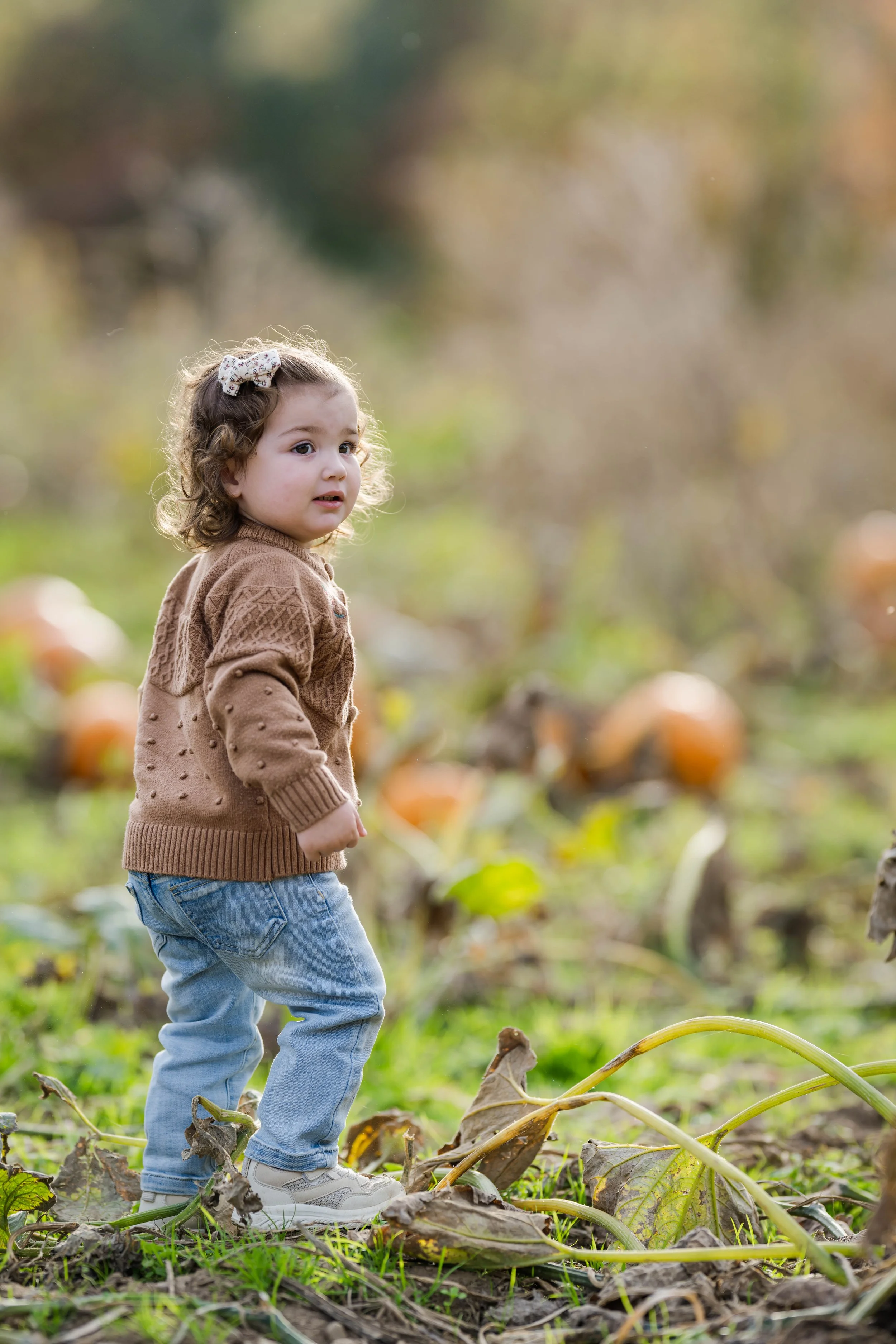 PumpkinPatch28.jpg