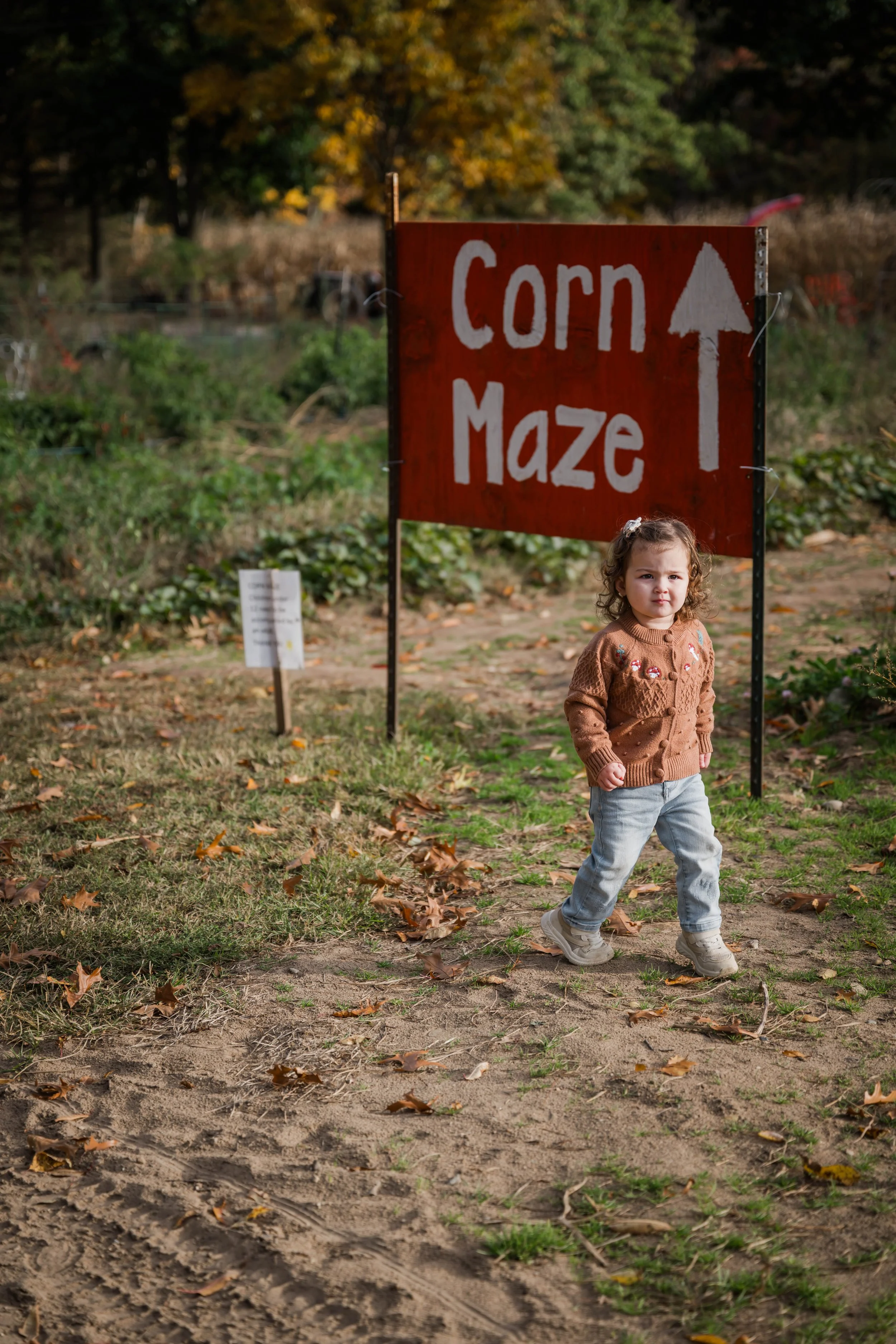 PumpkinPatch51.jpg