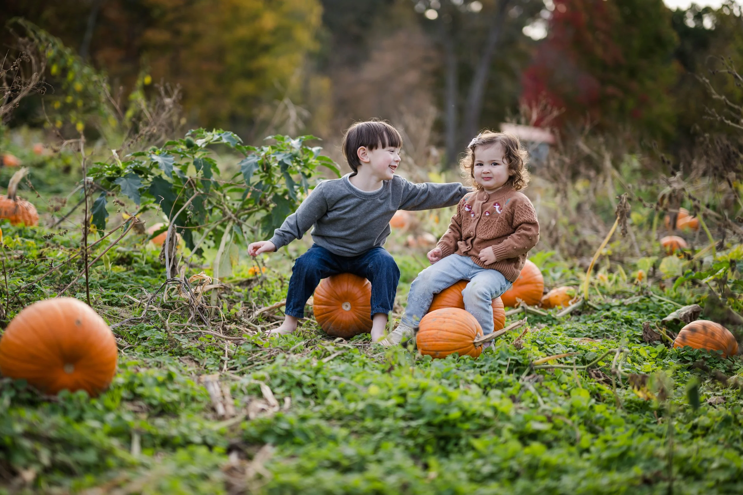 PumpkinPatch15.jpg
