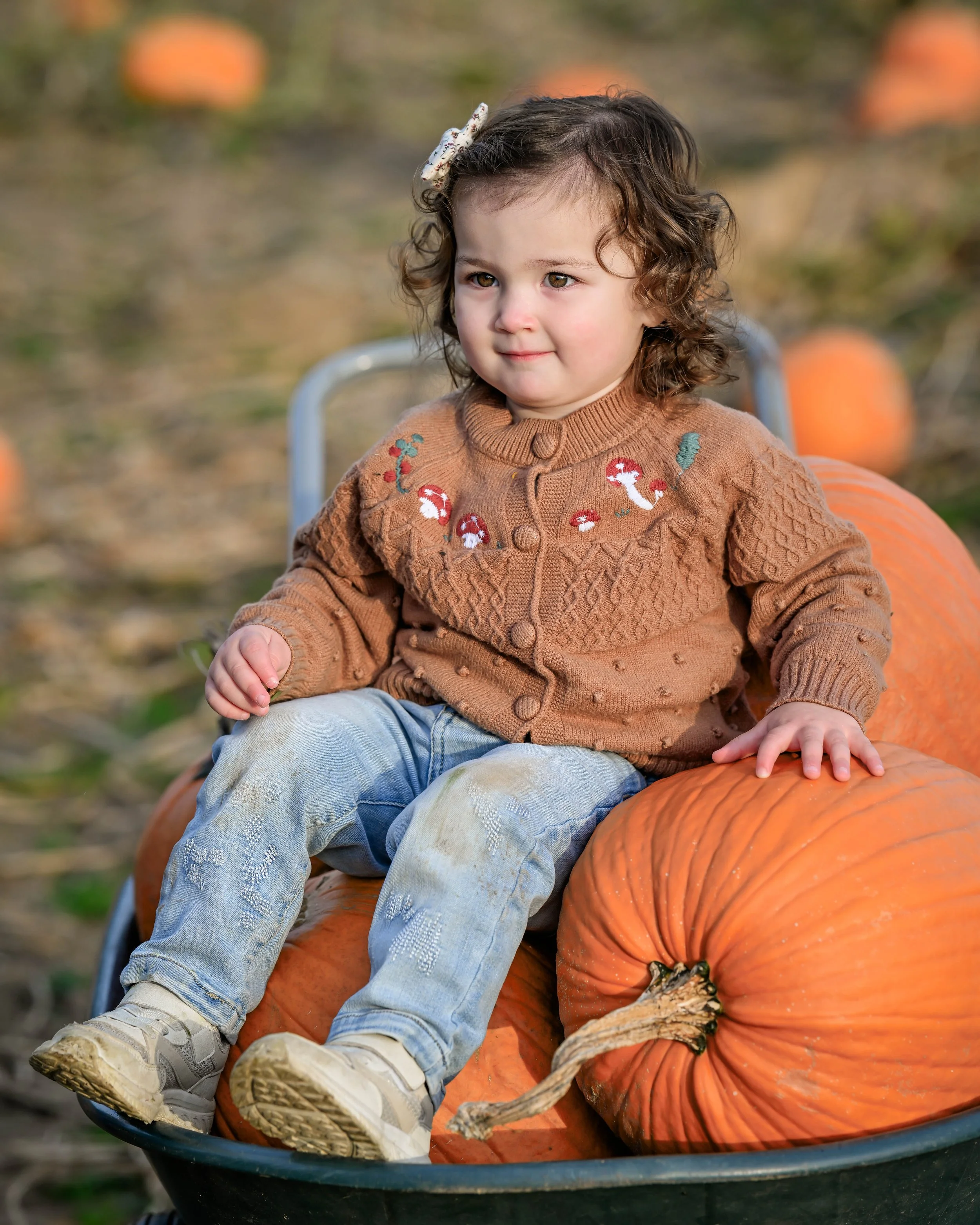 PumpkinPatch40.jpg