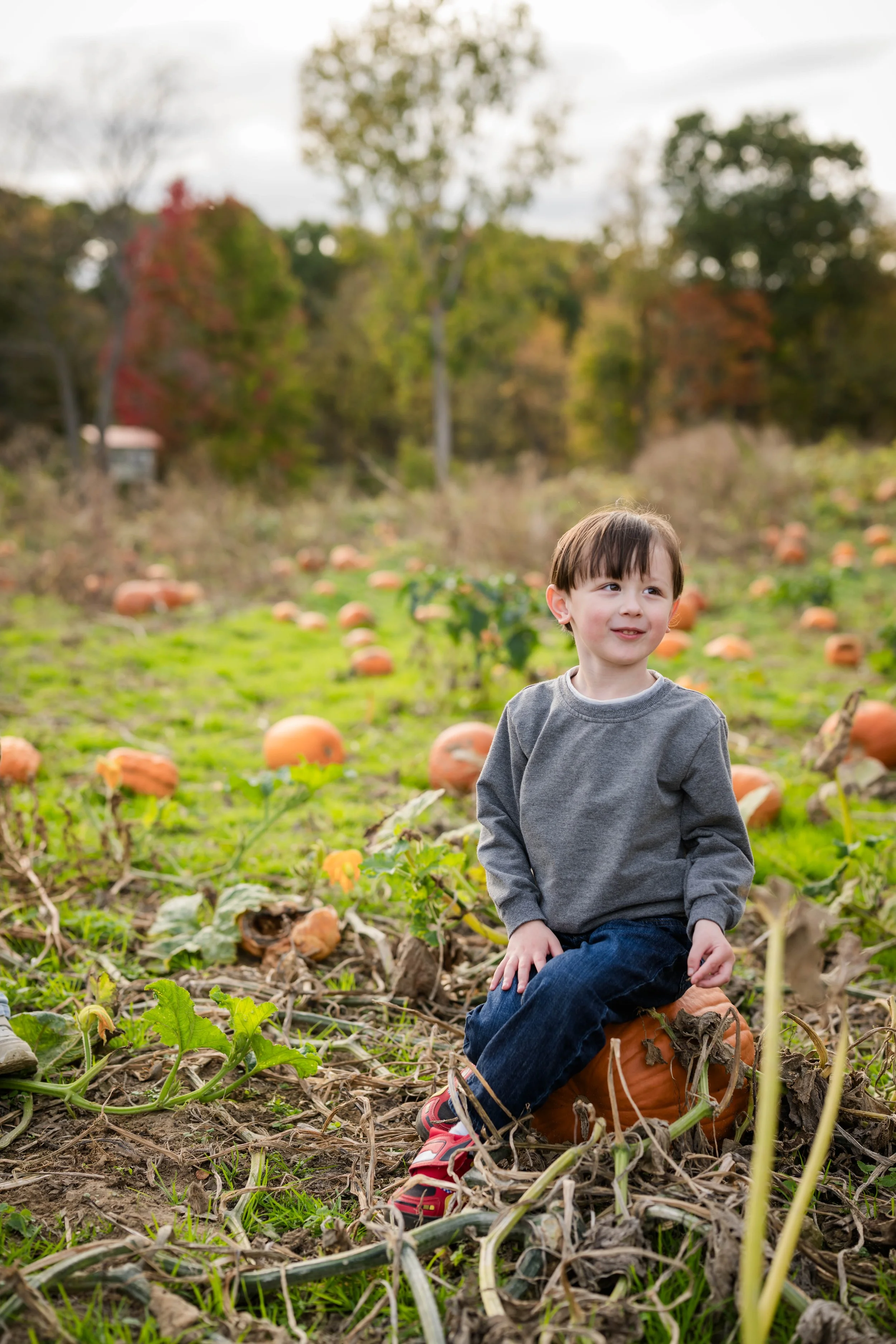 PumpkinPatch32.jpg