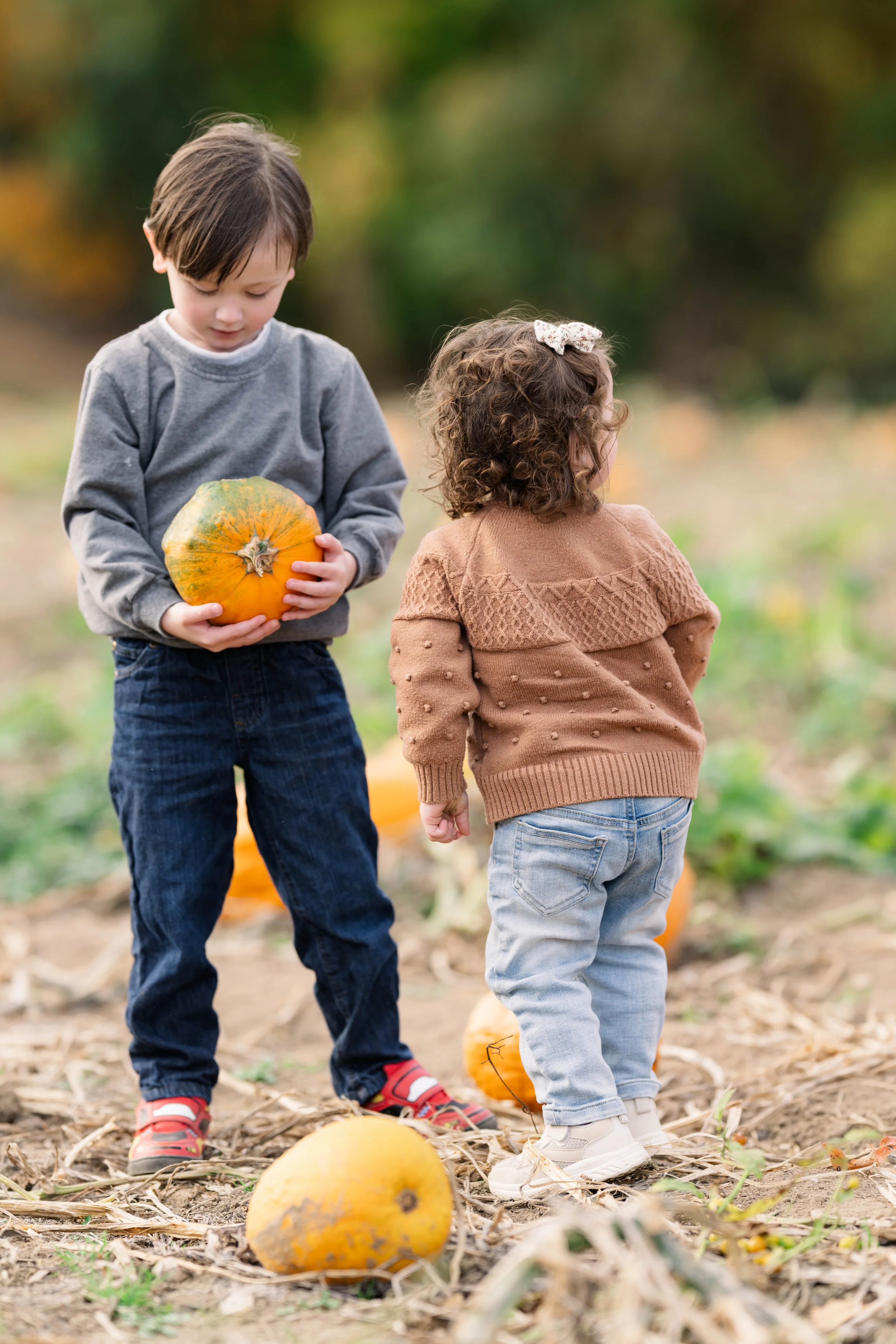 PumpkinPatch24.jpg