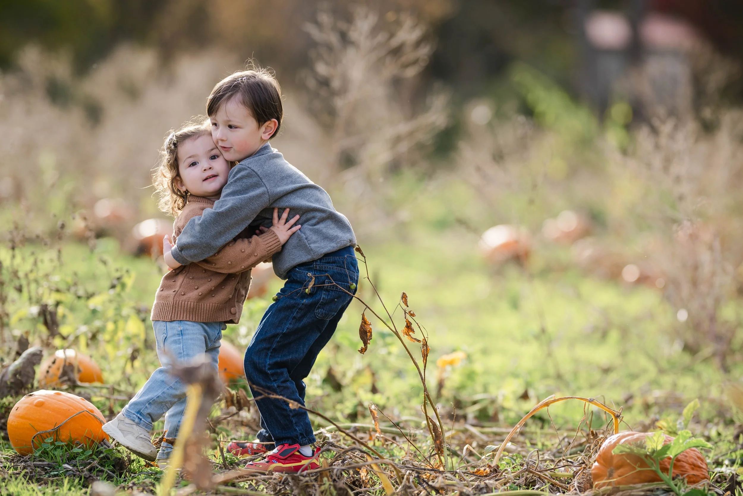 PumpkinPatch2.jpg